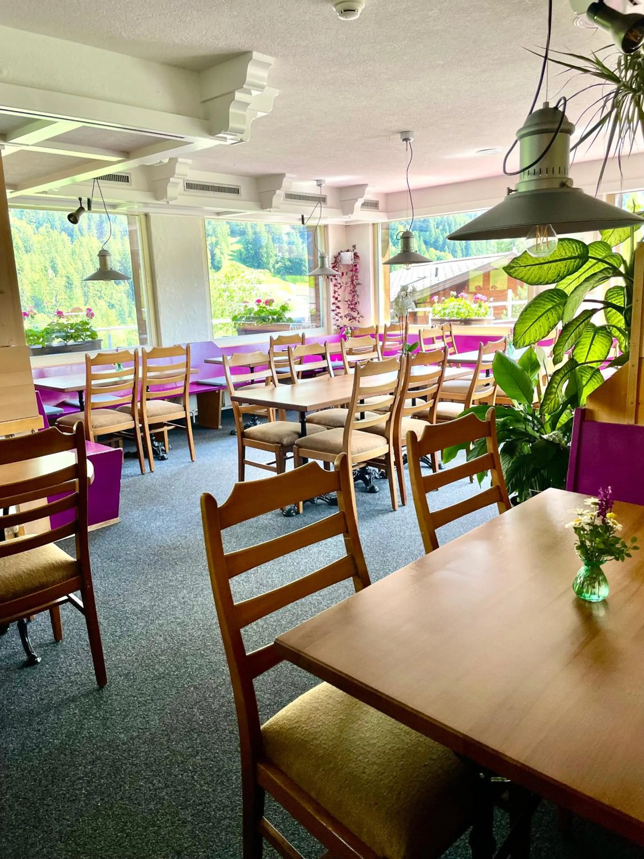 Restaurant/places to eat in Hotel Alpenblick