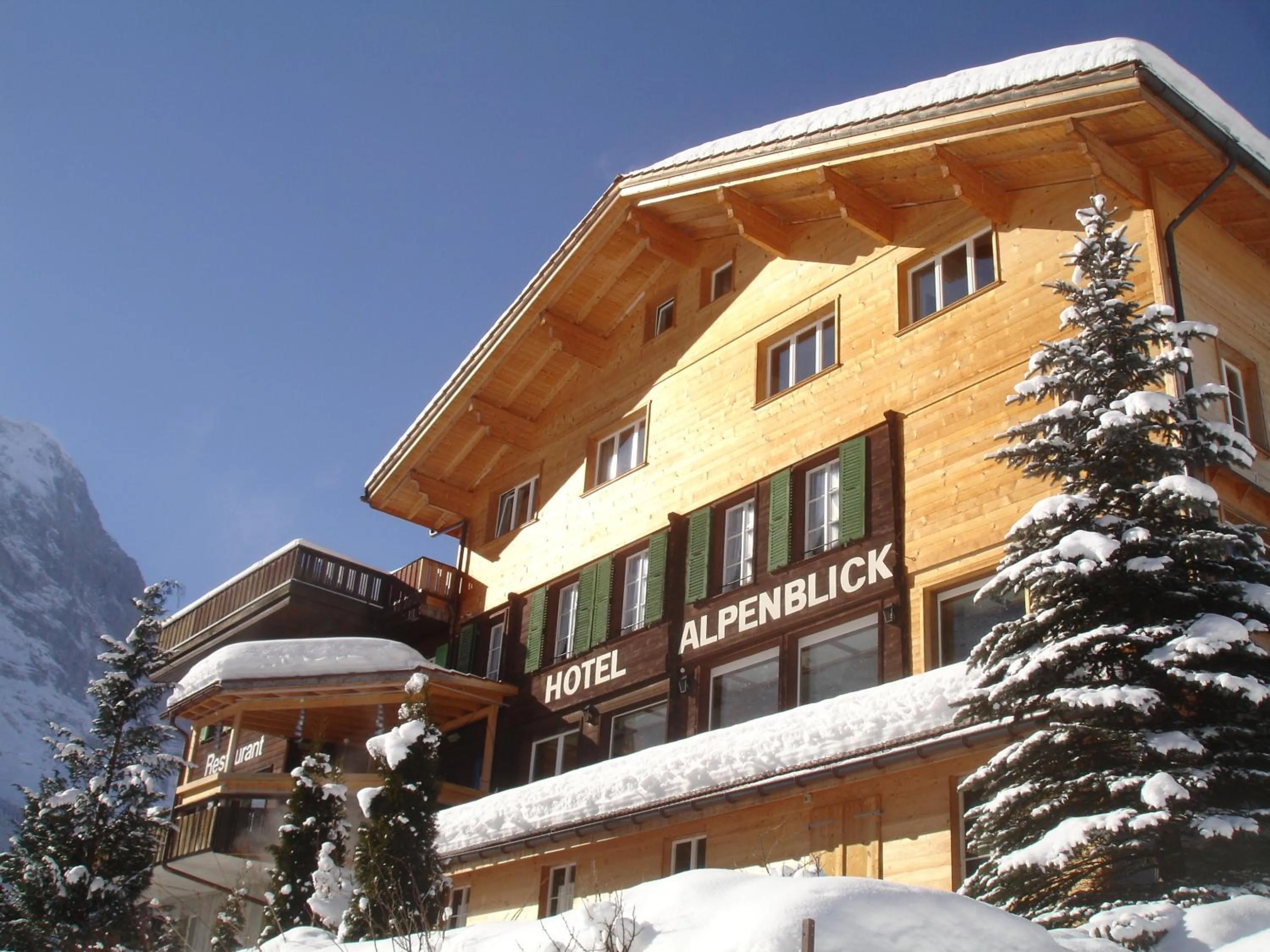 Facade/entrance in Hotel Alpenblick