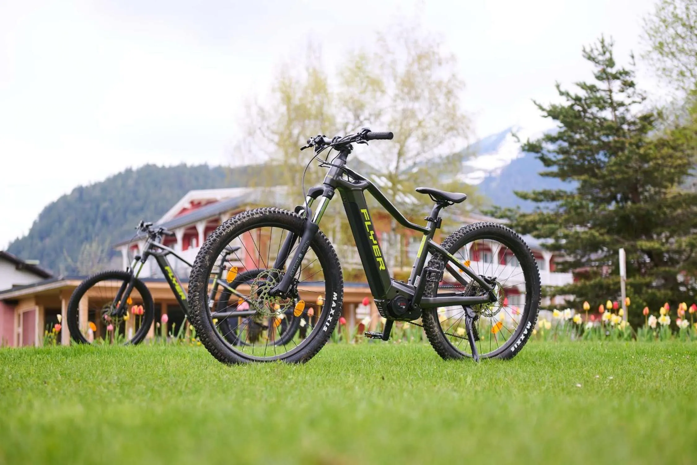 Activities in Das Hotel Eden - Das Aktiv- & Wohlfühlhotel in Tirol auf 1200m Höhe