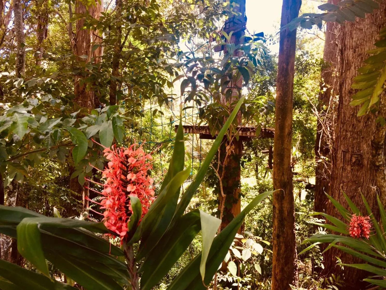 Natural landscape in Hotel Fazenda Colina