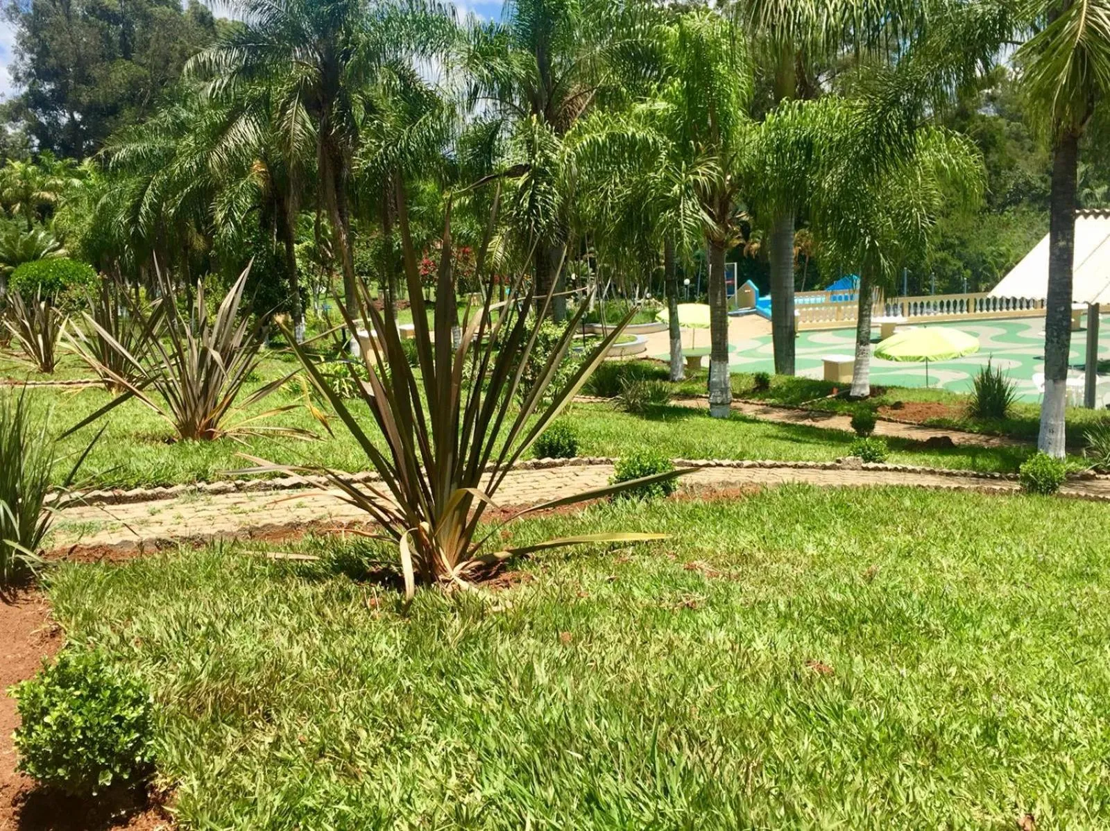 Garden in Hotel Fazenda Colina