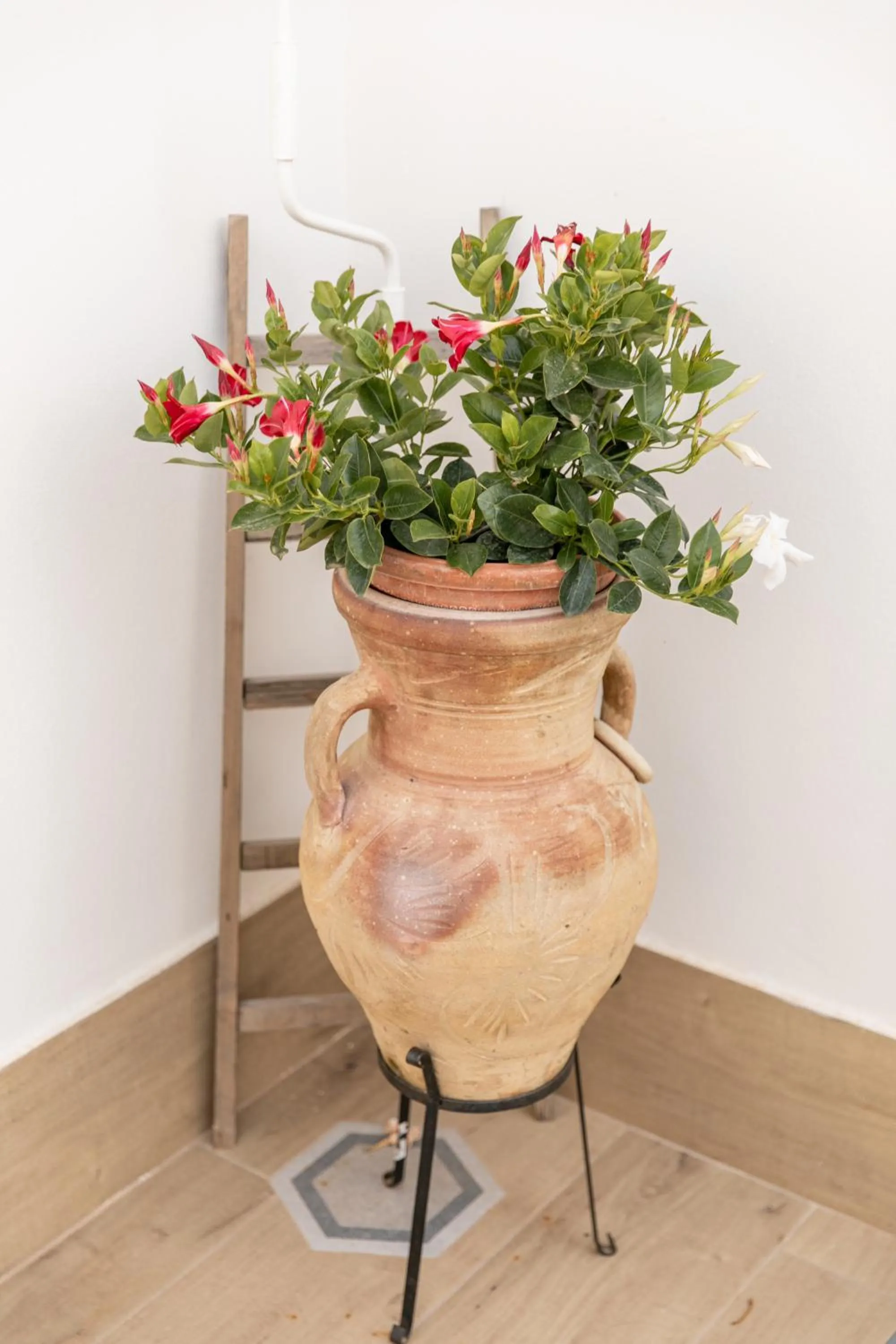 Decorative detail in Mare all'Arco Casa Vacanze