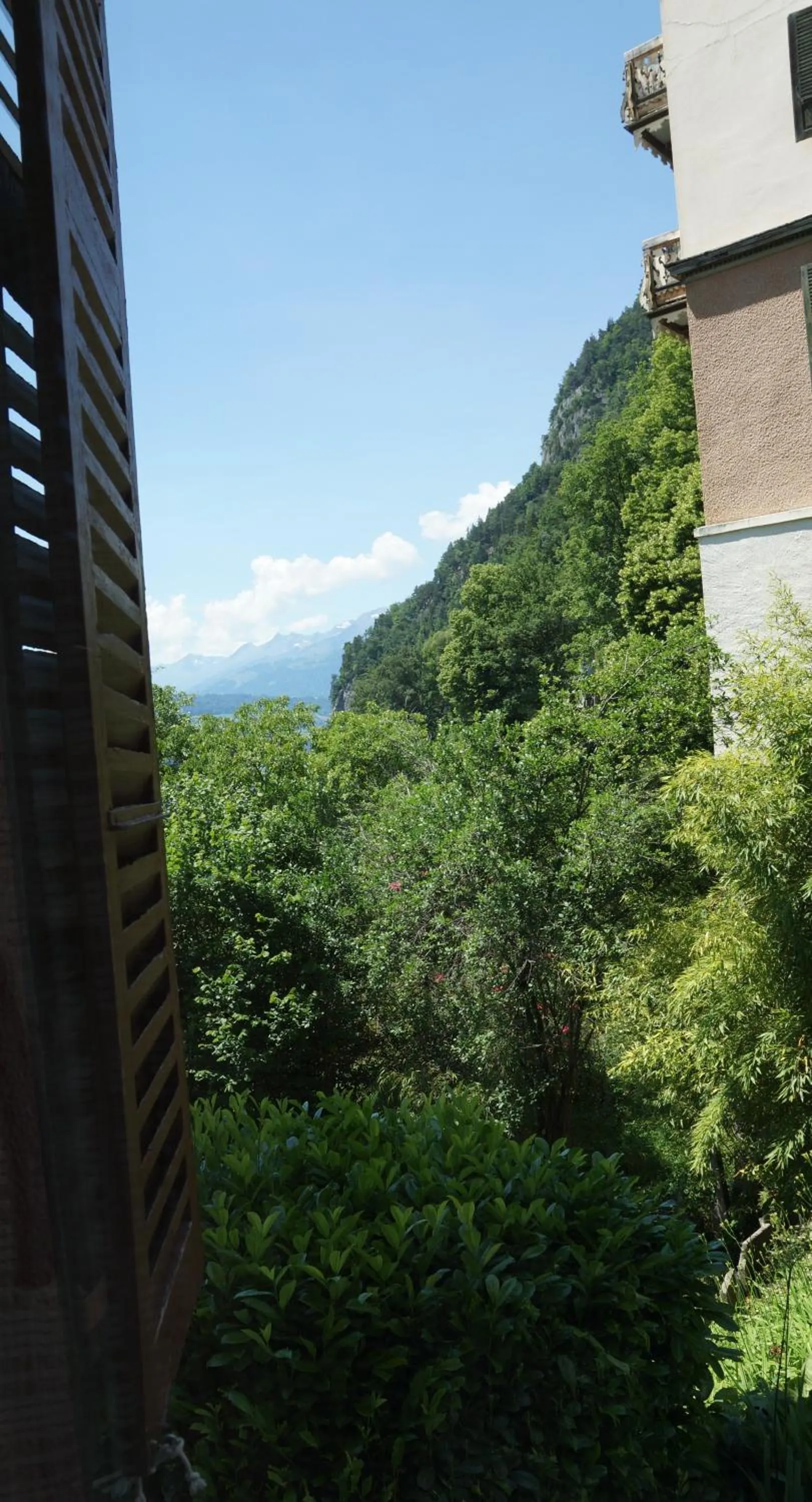 Garden view in Hotel Beatus
