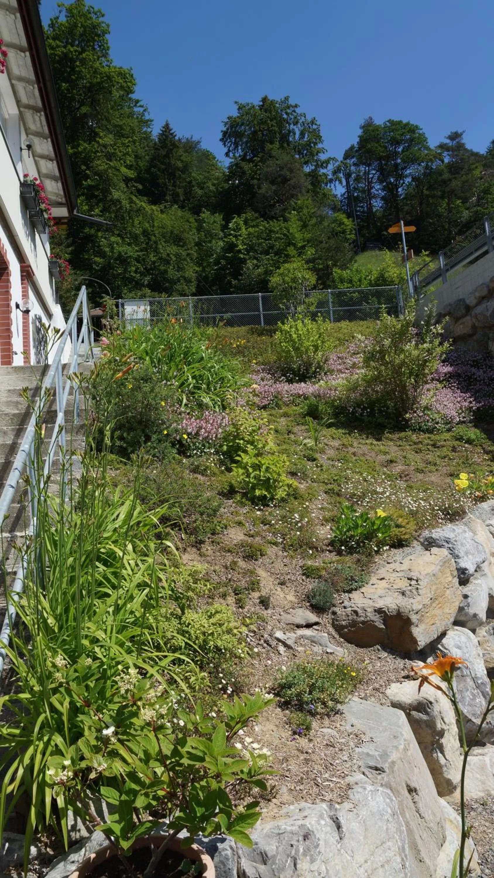 Garden in Hotel Beatus