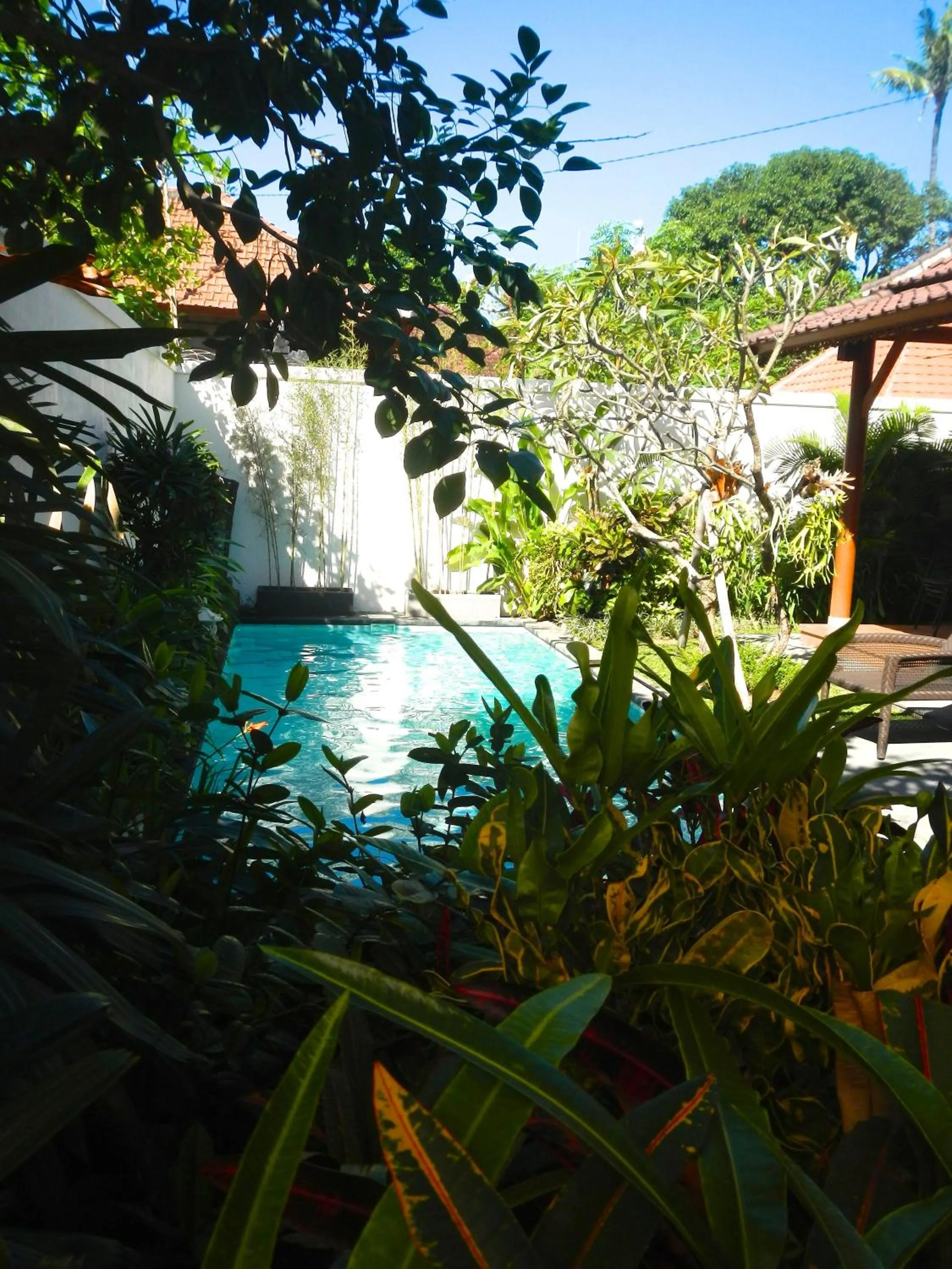 Day in Villa Chinta 1