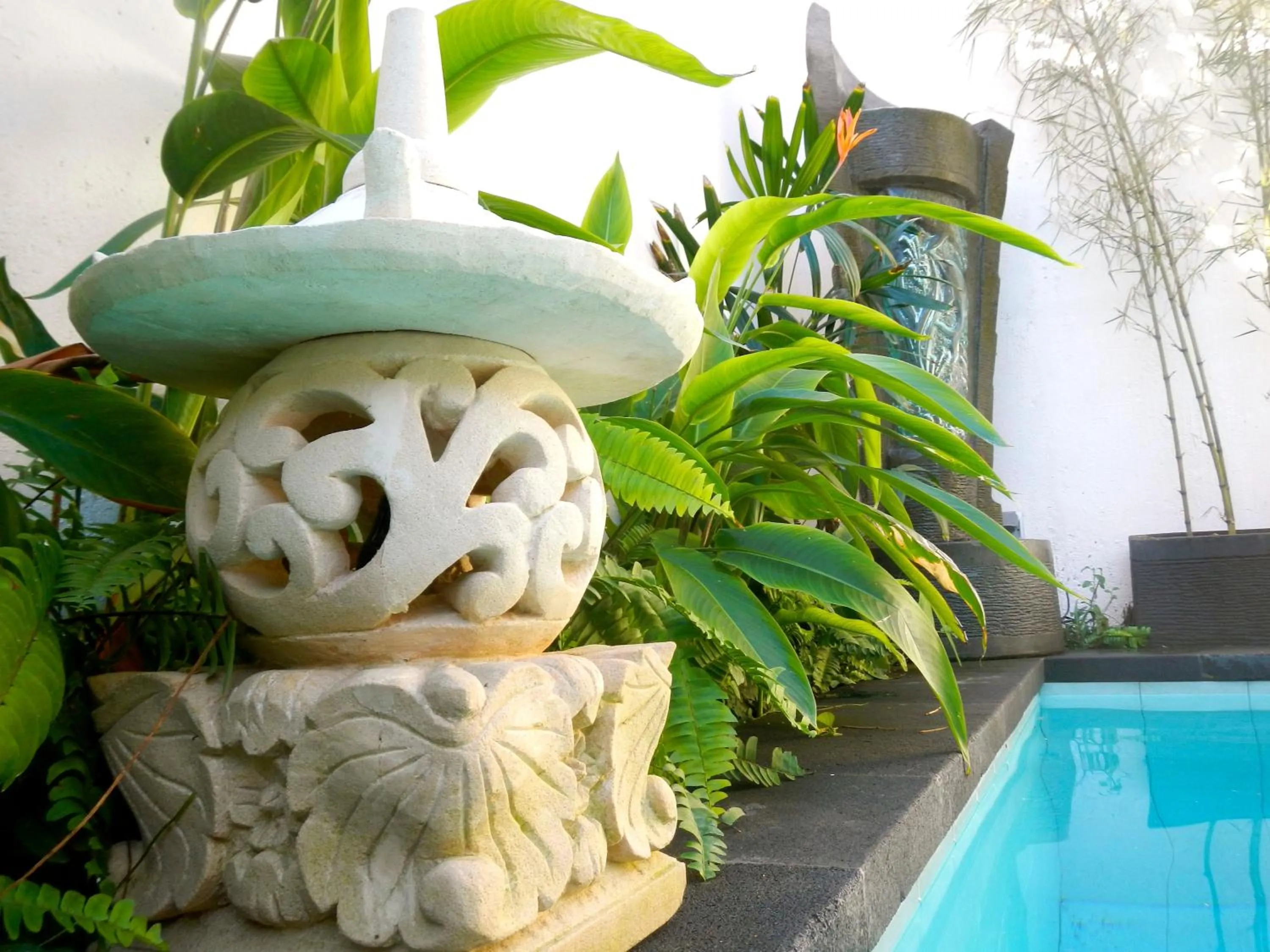 Day in Villa Chinta 1