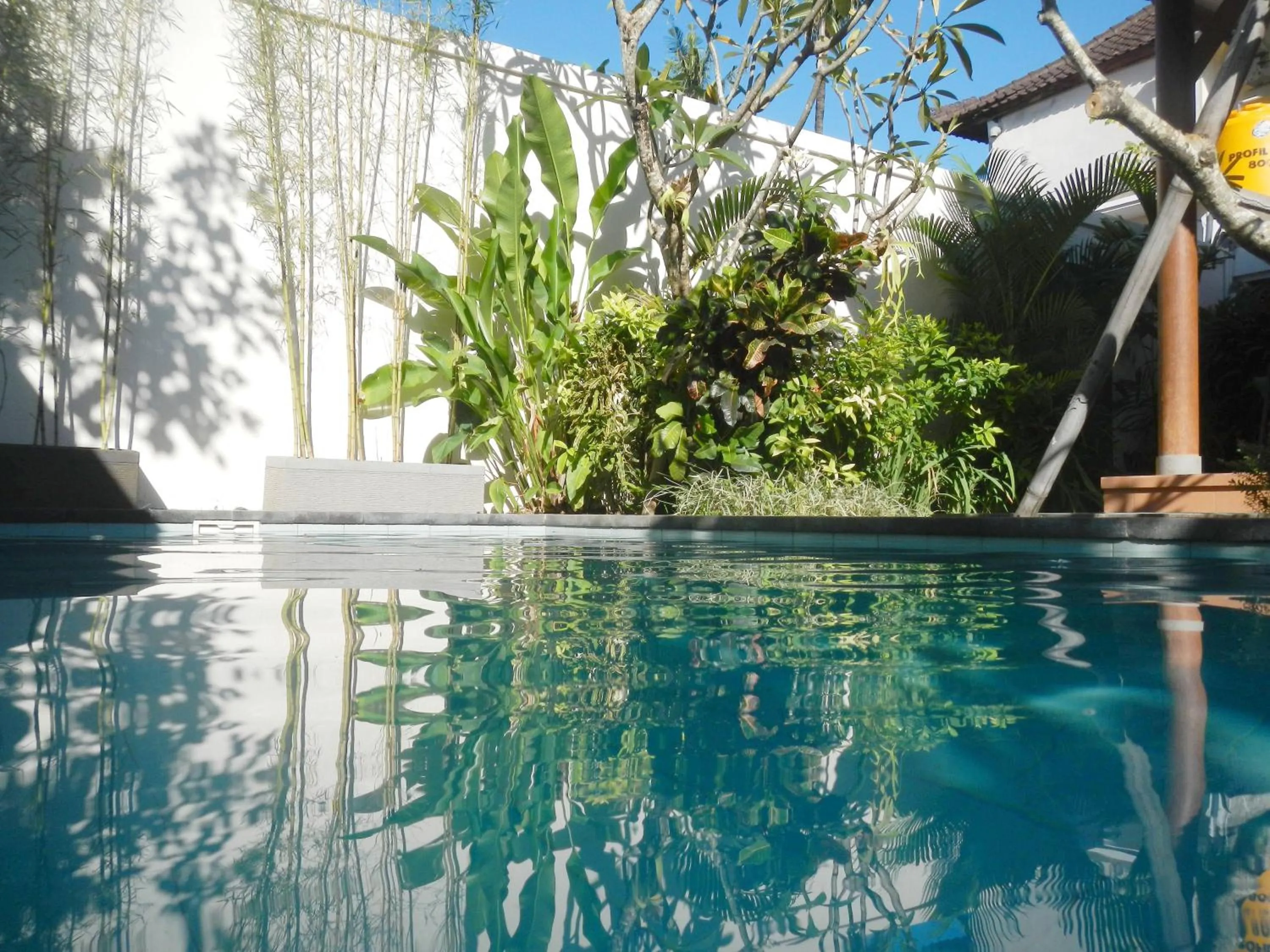 Swimming pool in Villa Chinta 1