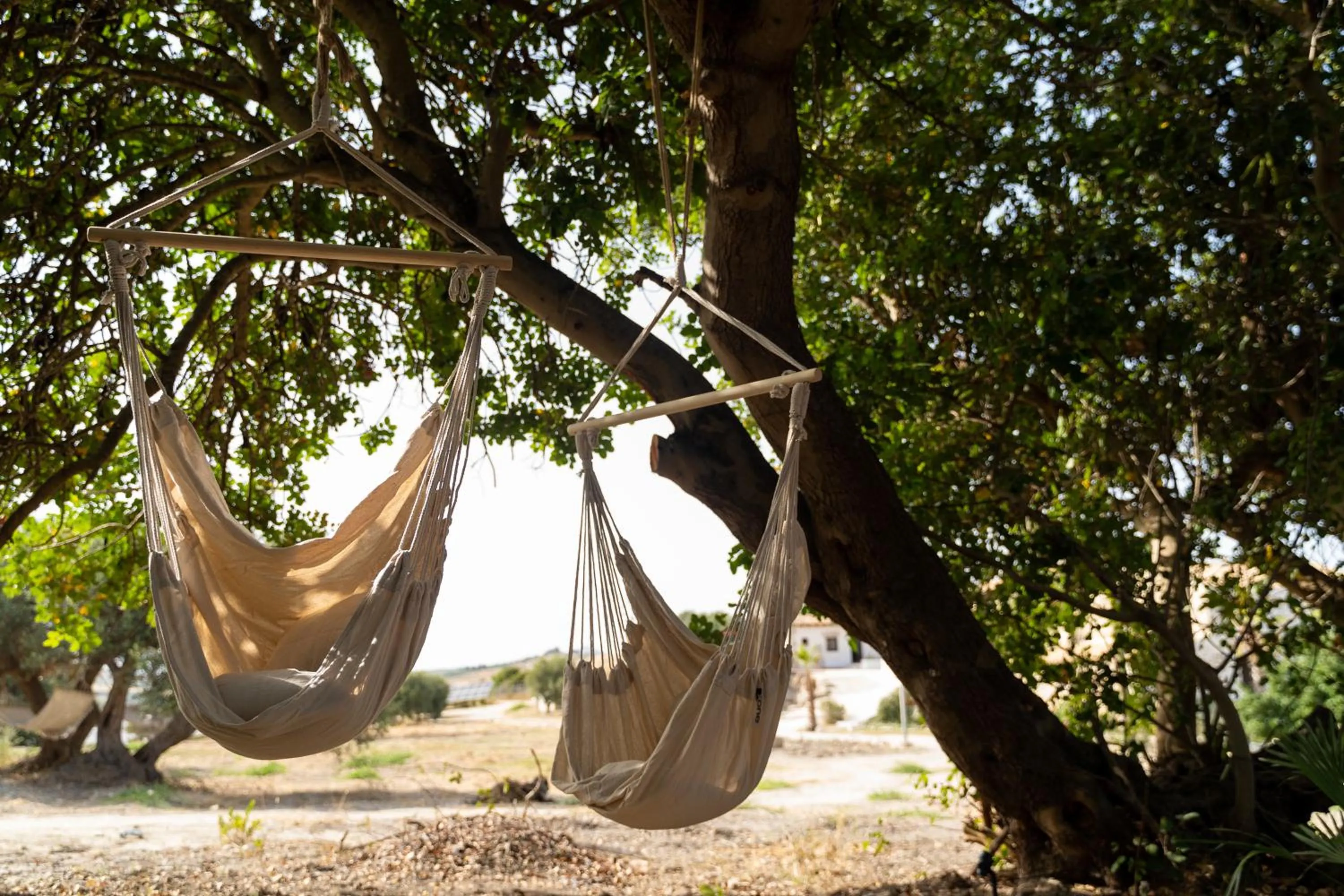 Garden in Borgo delle Pietre