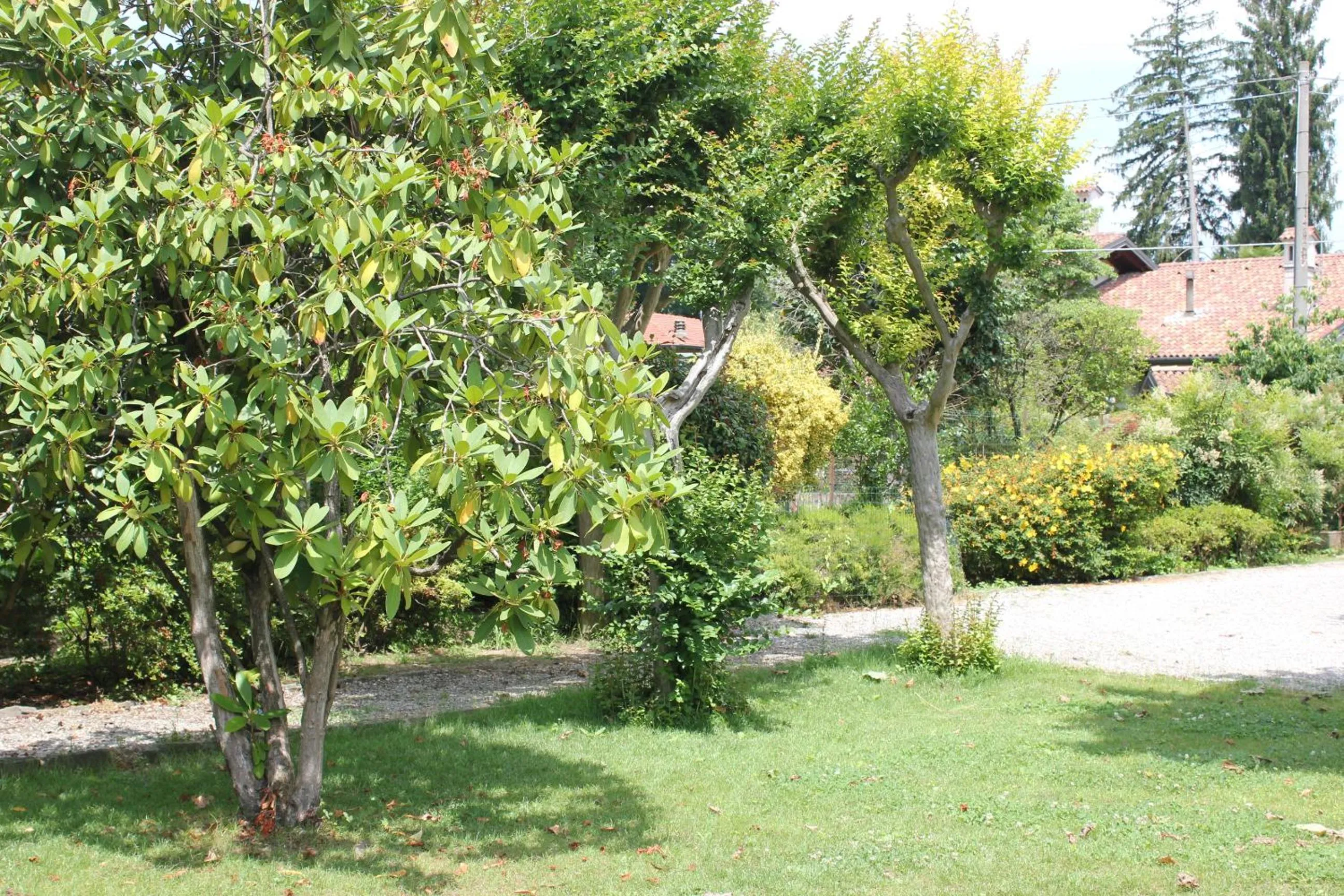 Garden in B&B I due tigli