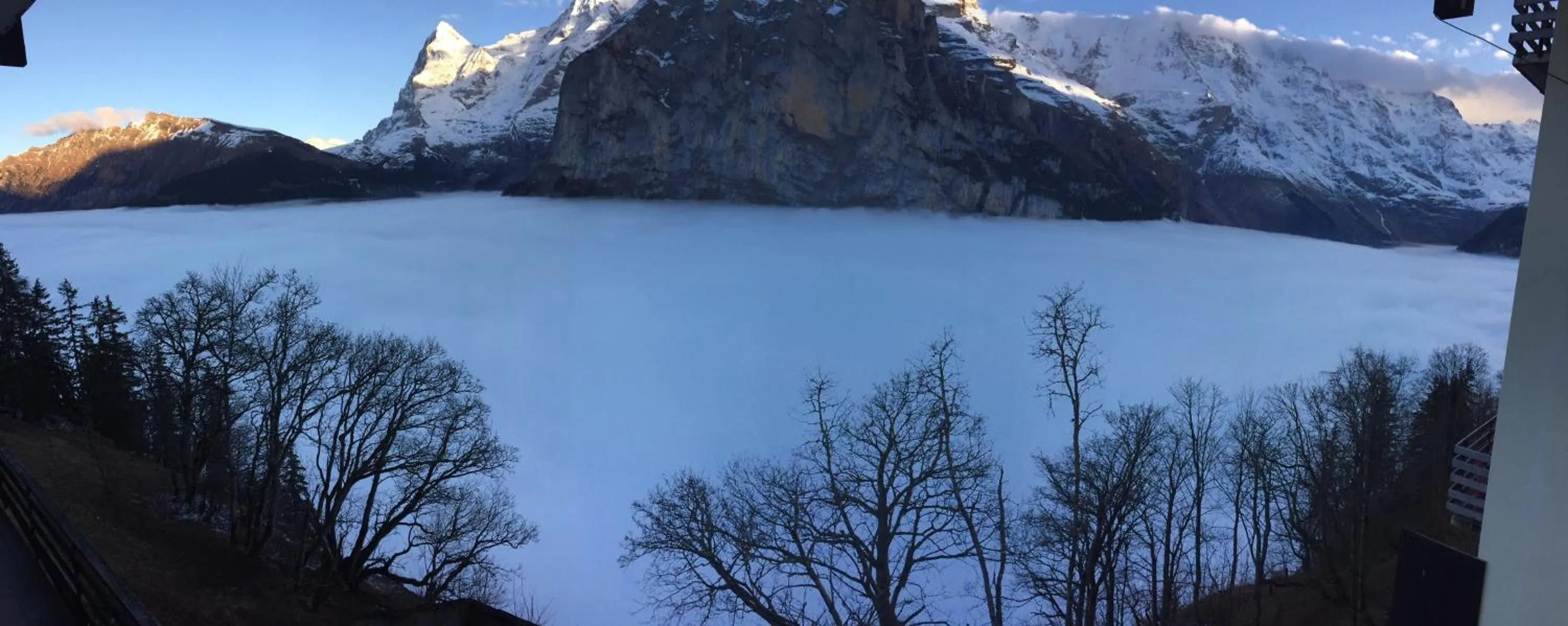 Natural landscape in Hotel Alpina