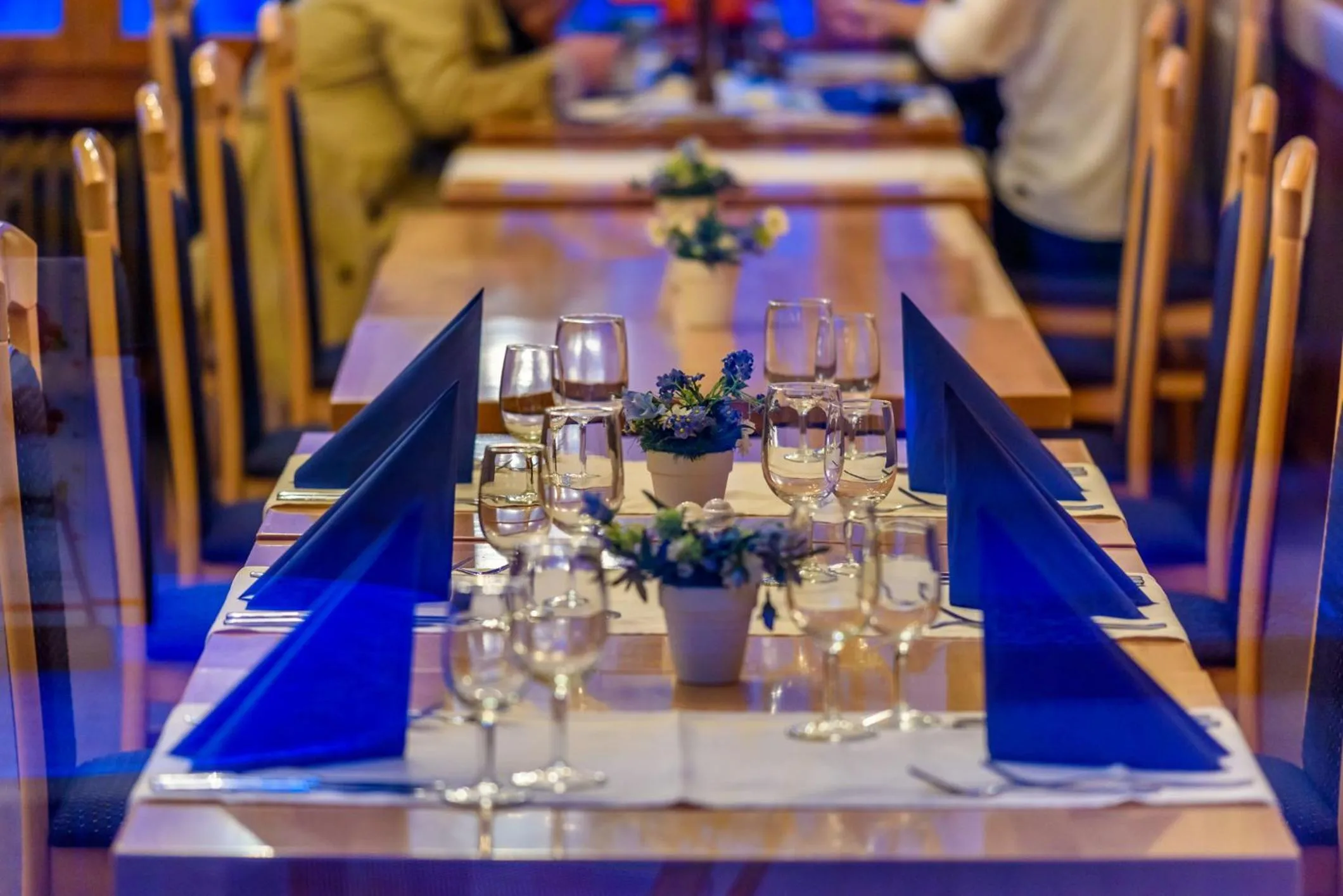 Restaurant/places to eat in Hotel Alpina