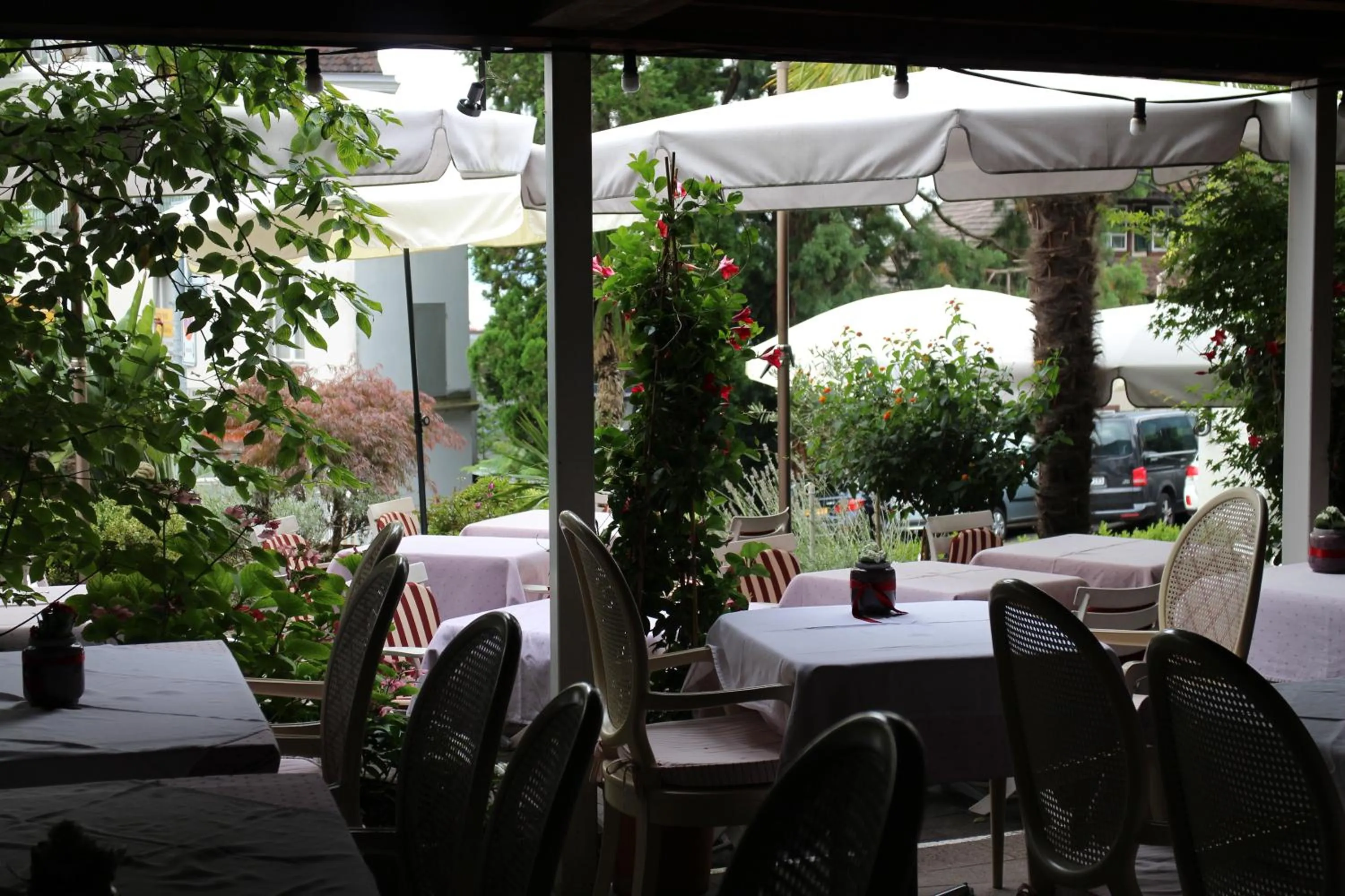 Restaurant/places to eat in Hotel Rigi Vitznau