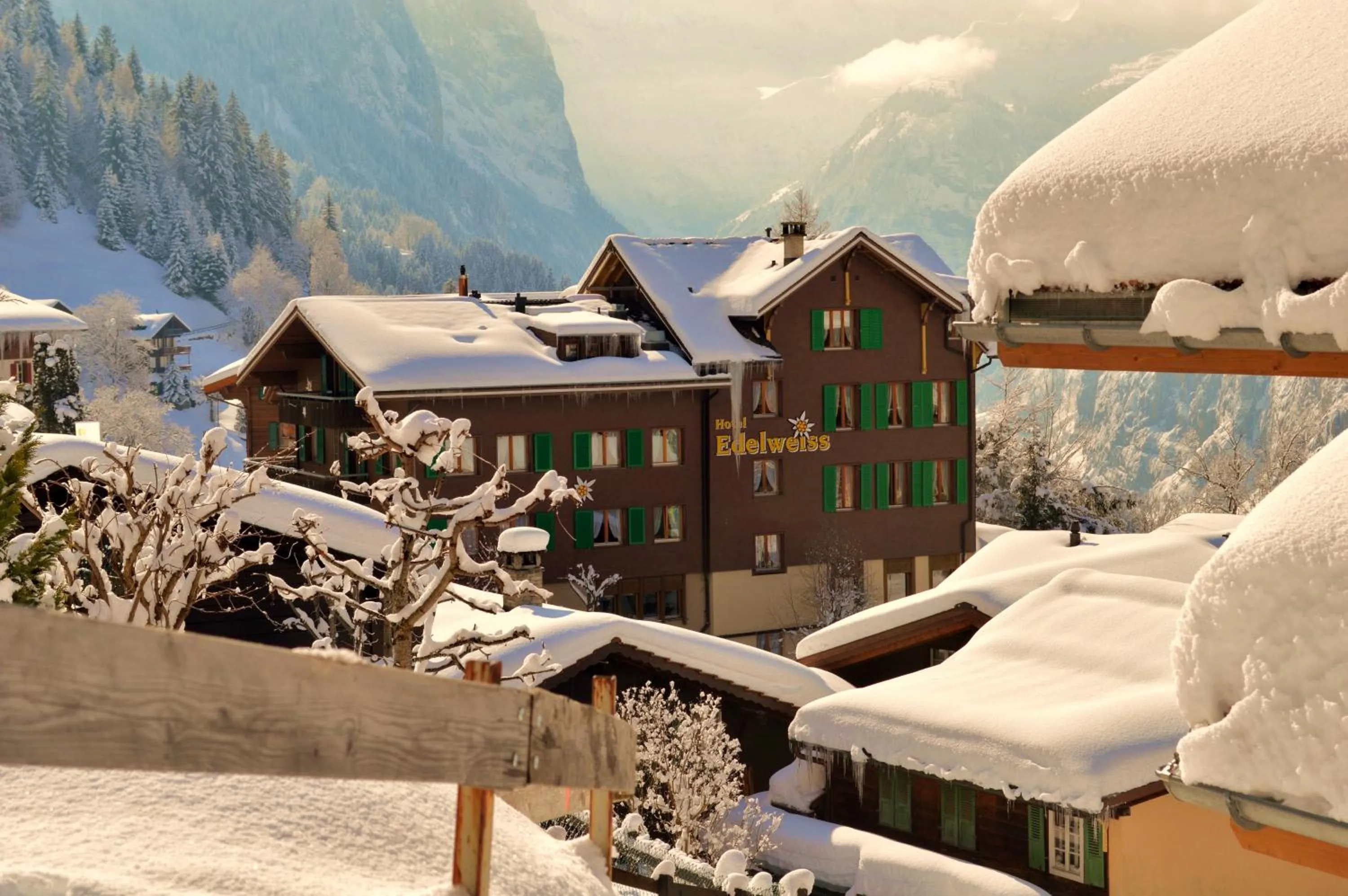 Property building in Hotel Edelweiss