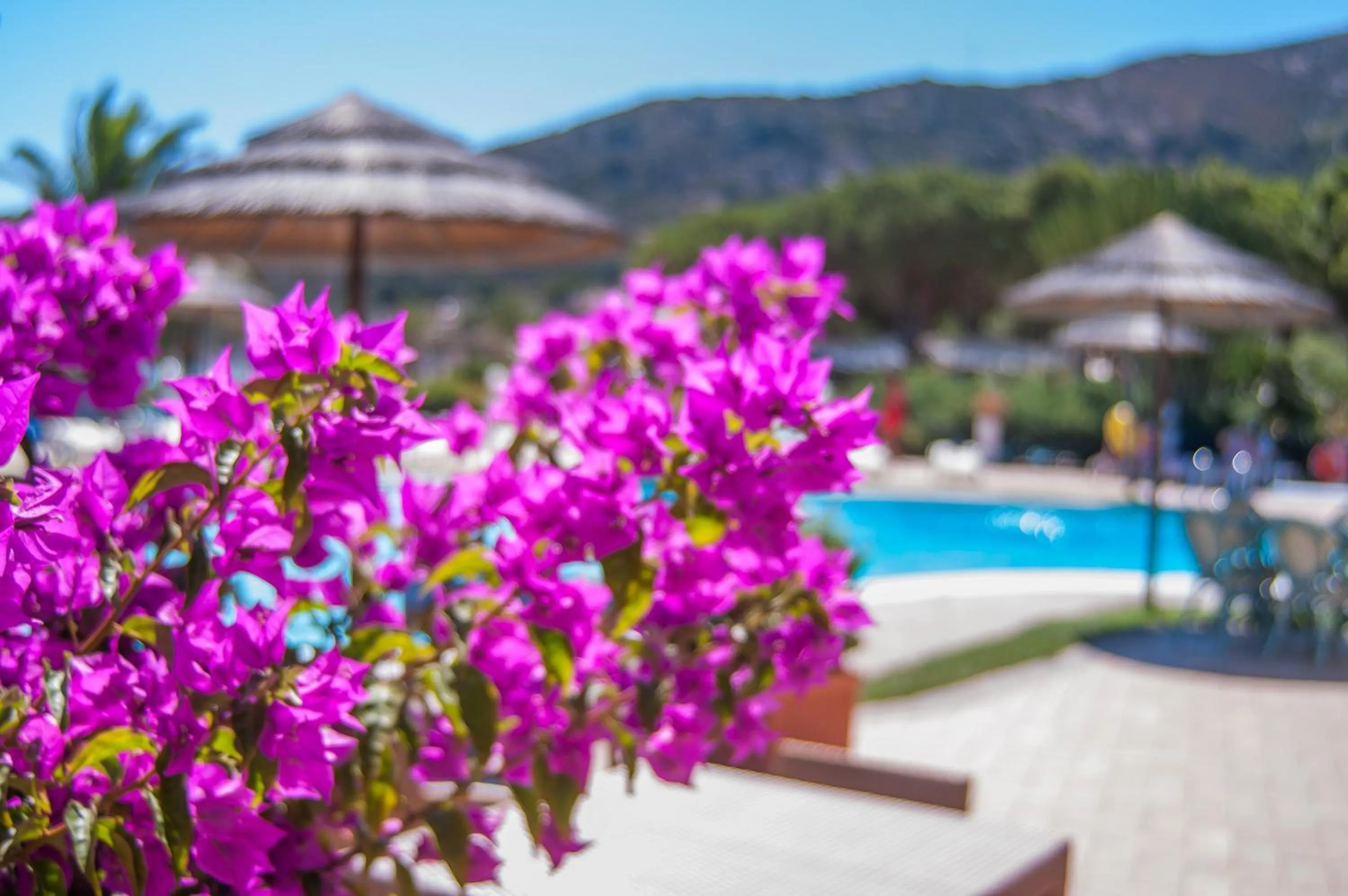 Day in Cormoran Residence