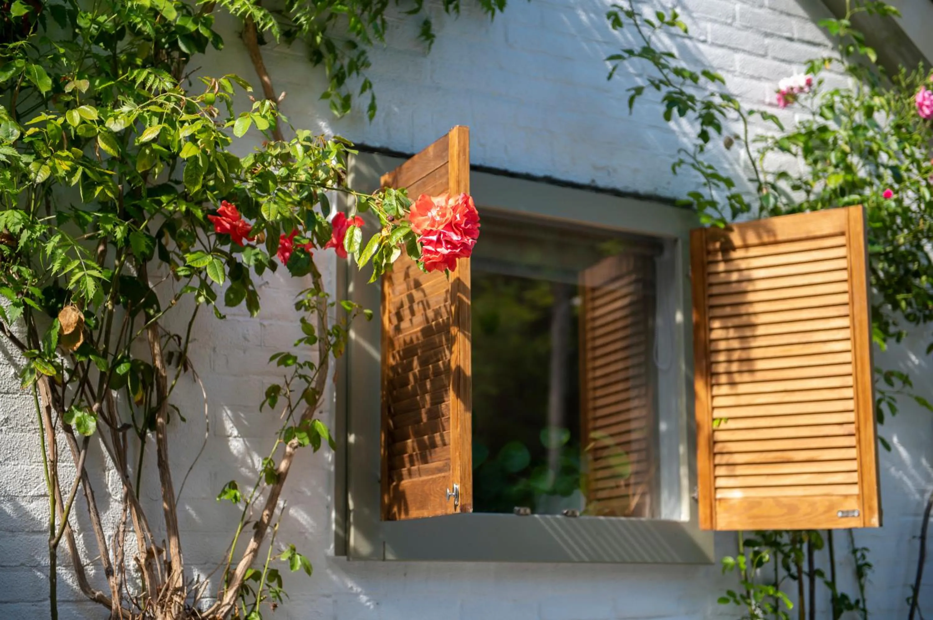 Facade/entrance in LODGE & LOFT