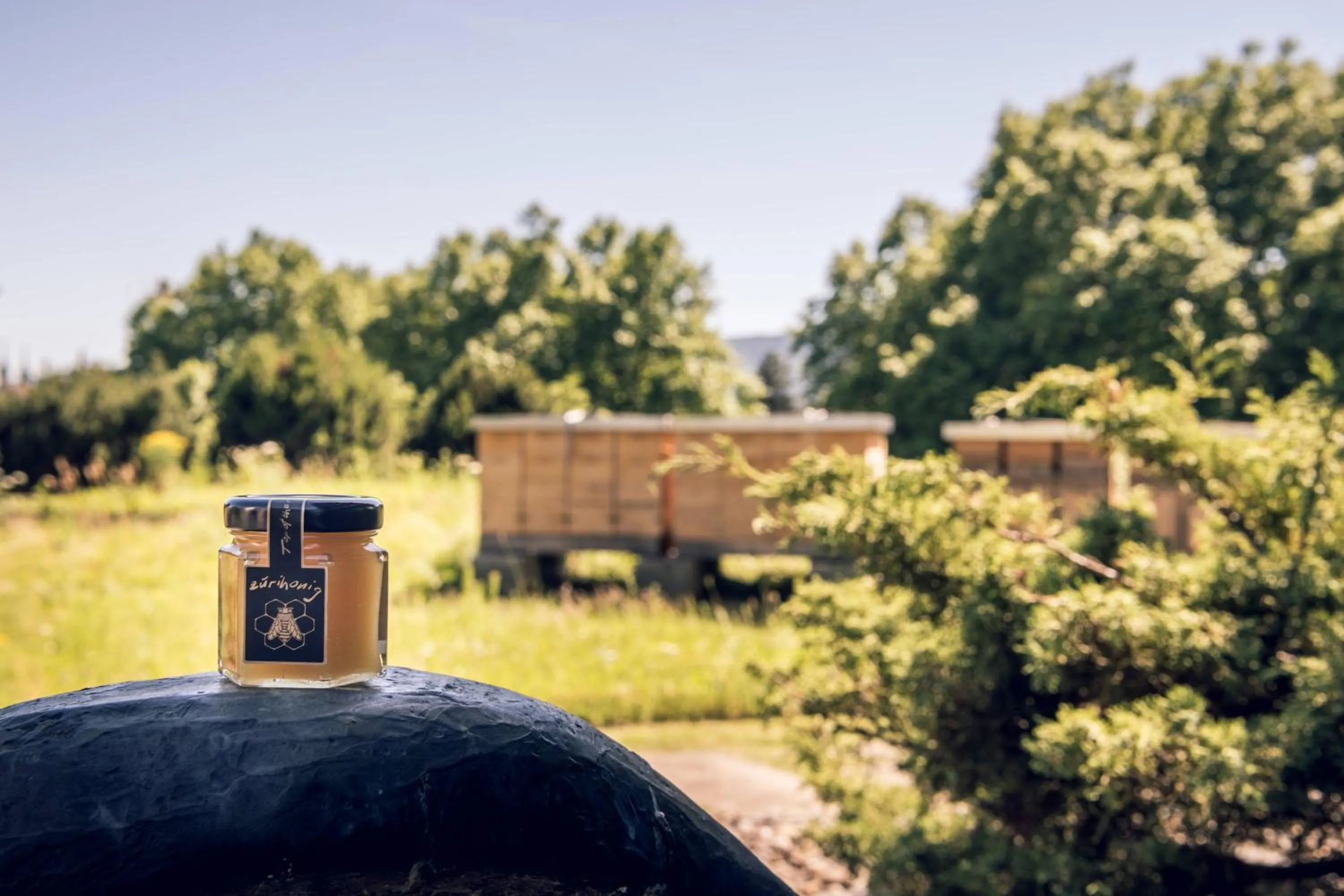 Other in Zurich Marriott Hotel