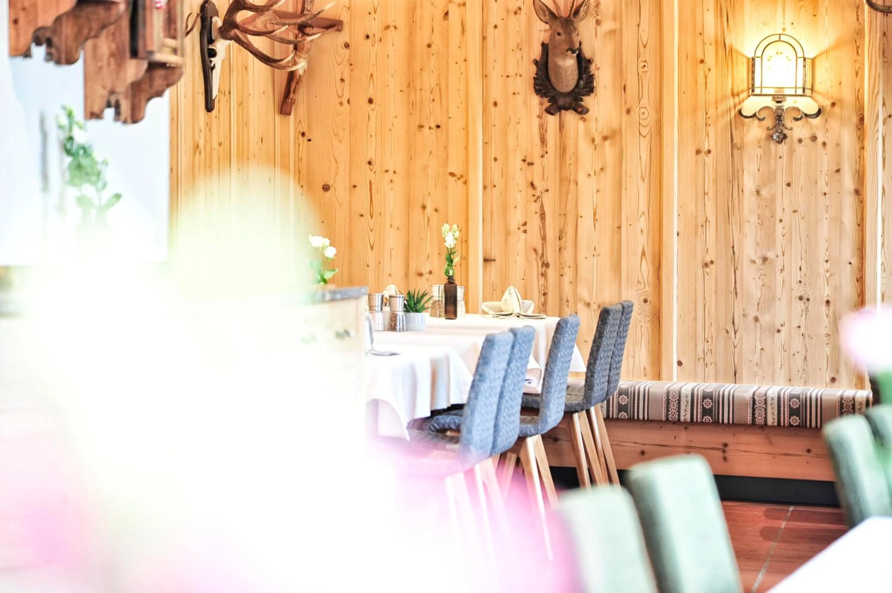 Restaurant/places to eat in Fischerwirt am See