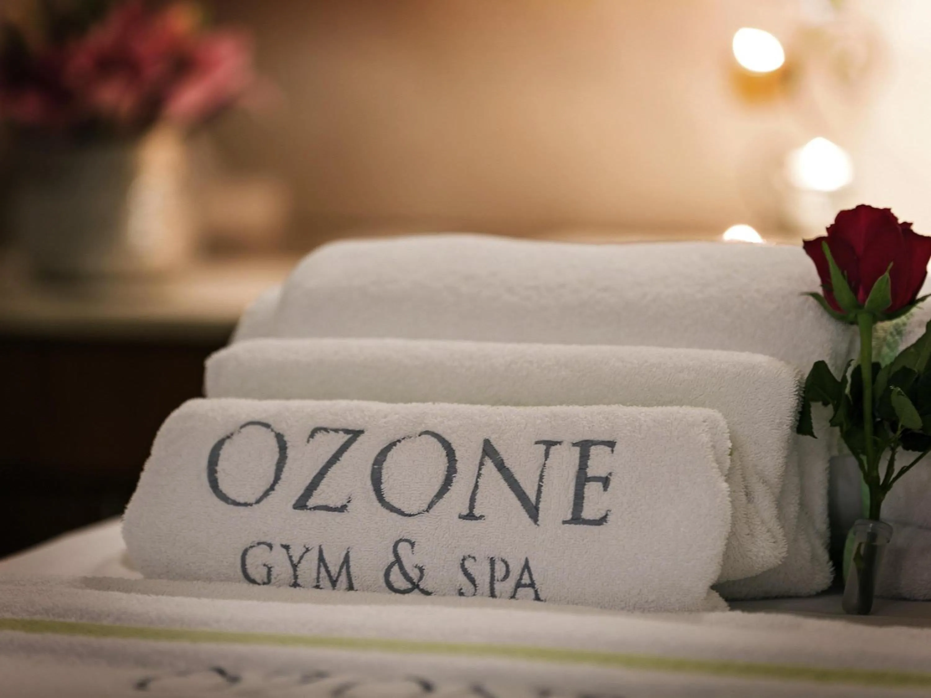 Other in La Cigale Hotel Managed by Accor