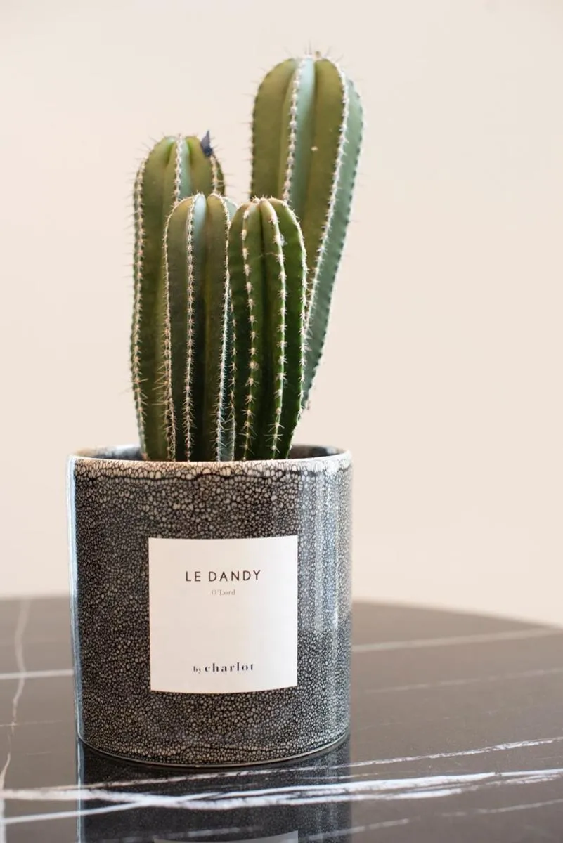 Other in O'Lord, 4 Etoiles, Residence de Luxe Champs-Elysees