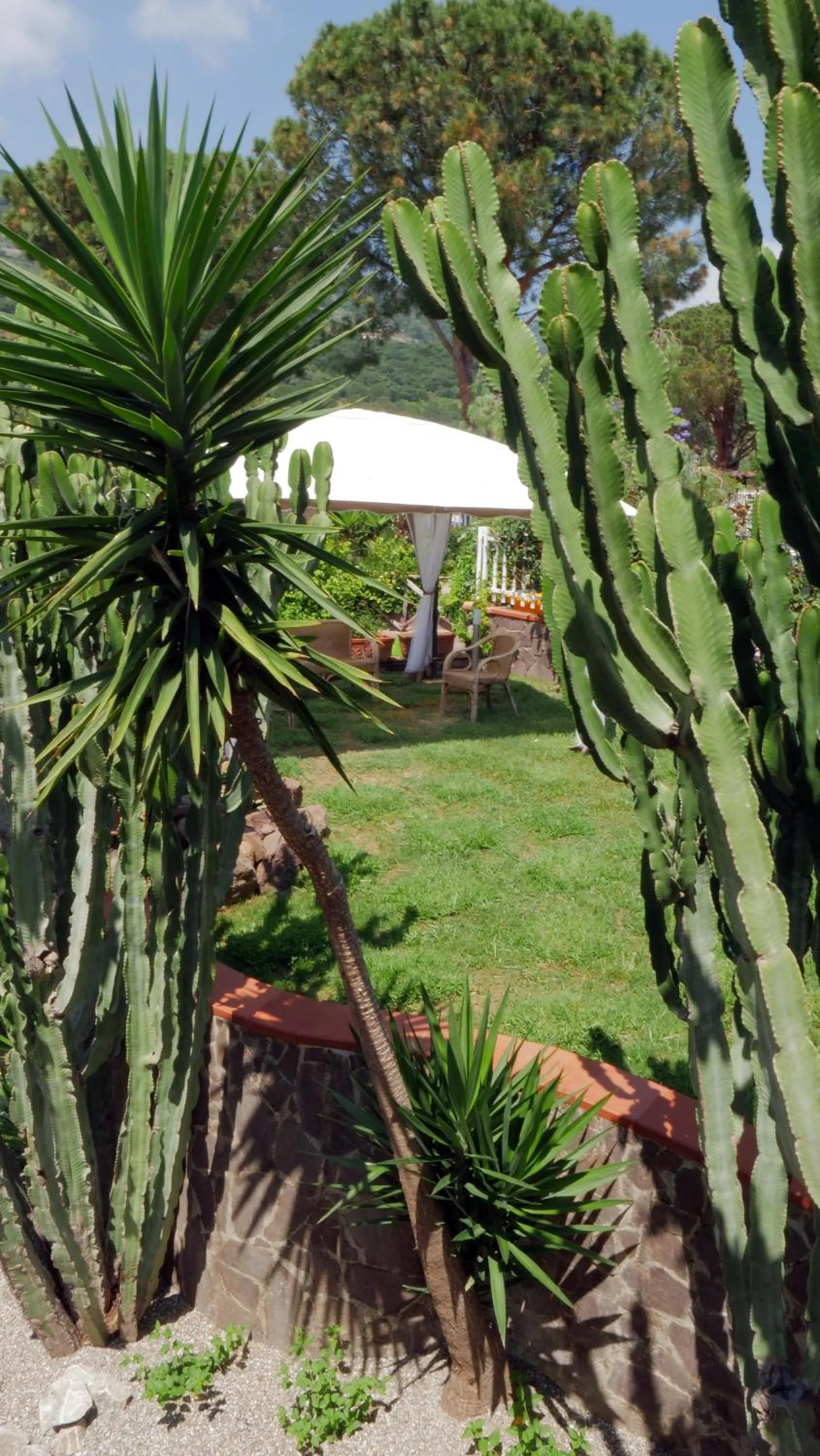 Garden view in Talìa Residence