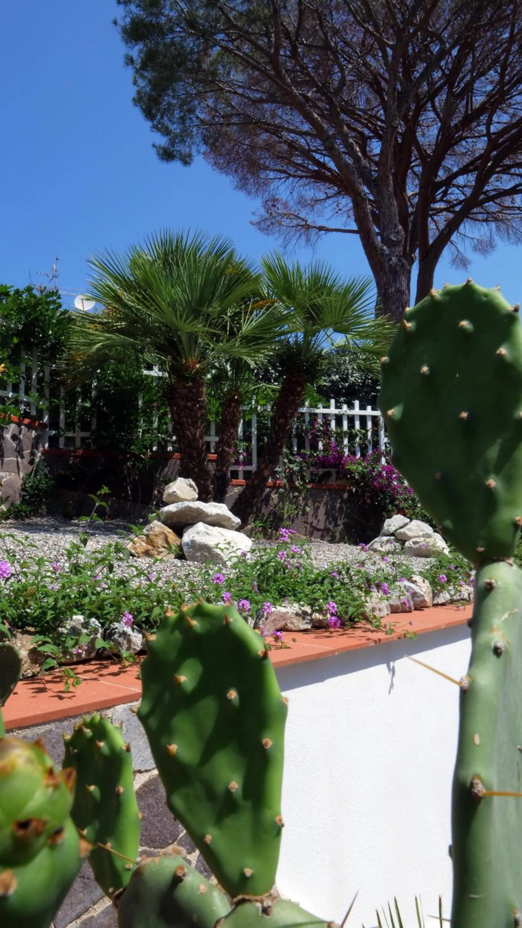 Garden in Talìa Residence