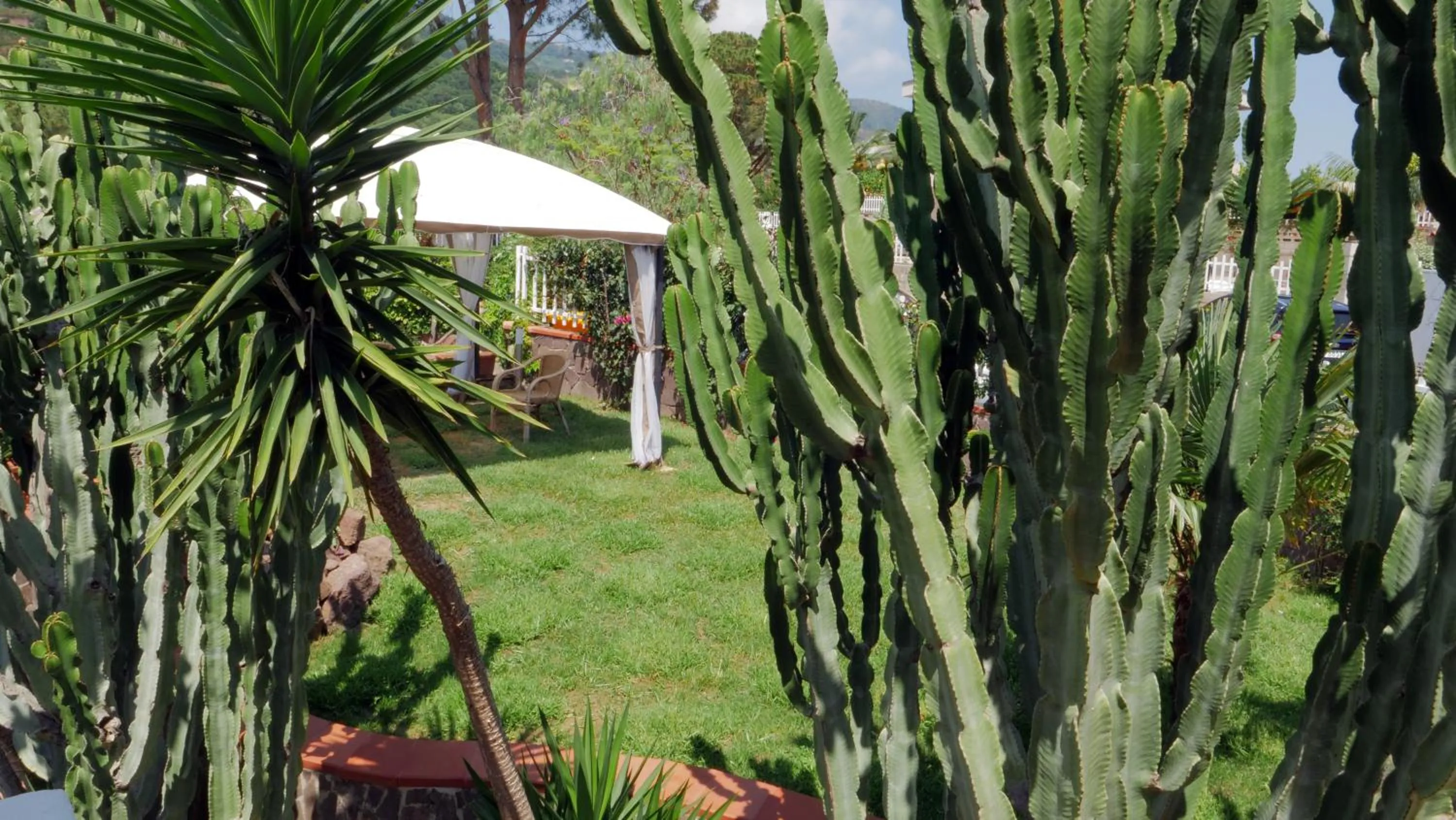 Garden in Talìa Residence