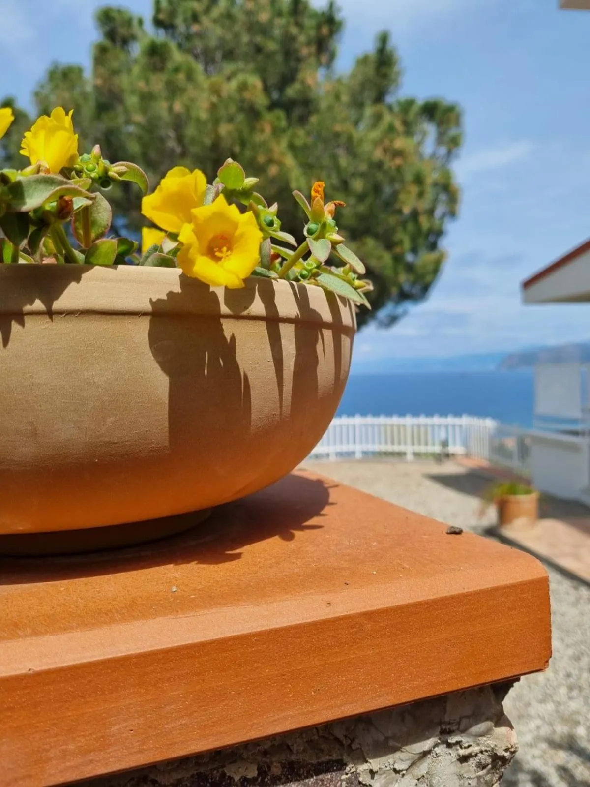 Garden in Talìa Residence