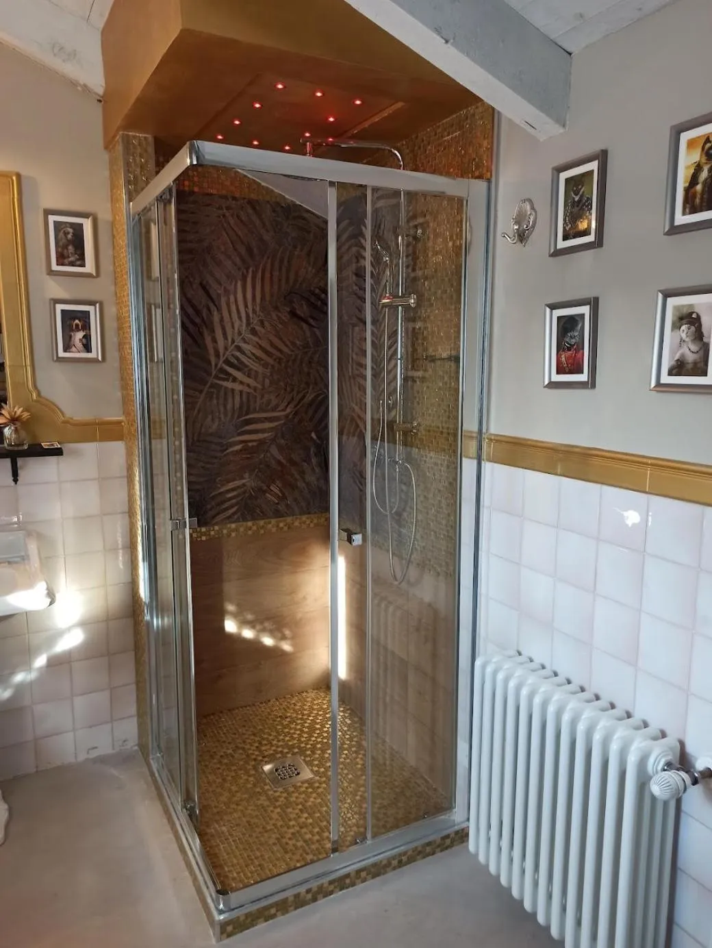 Shower in The Lake House