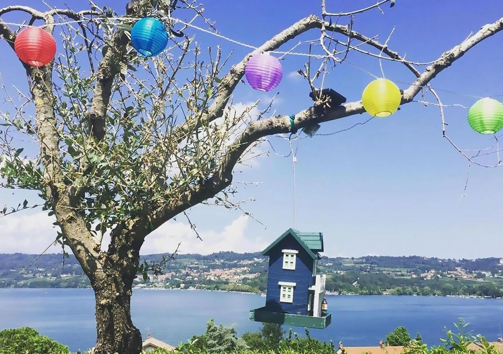 Natural landscape in The Lake House