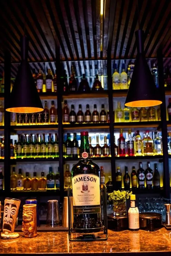 Nightclub / DJ in Riviera Hotel, Apartments & Resorts