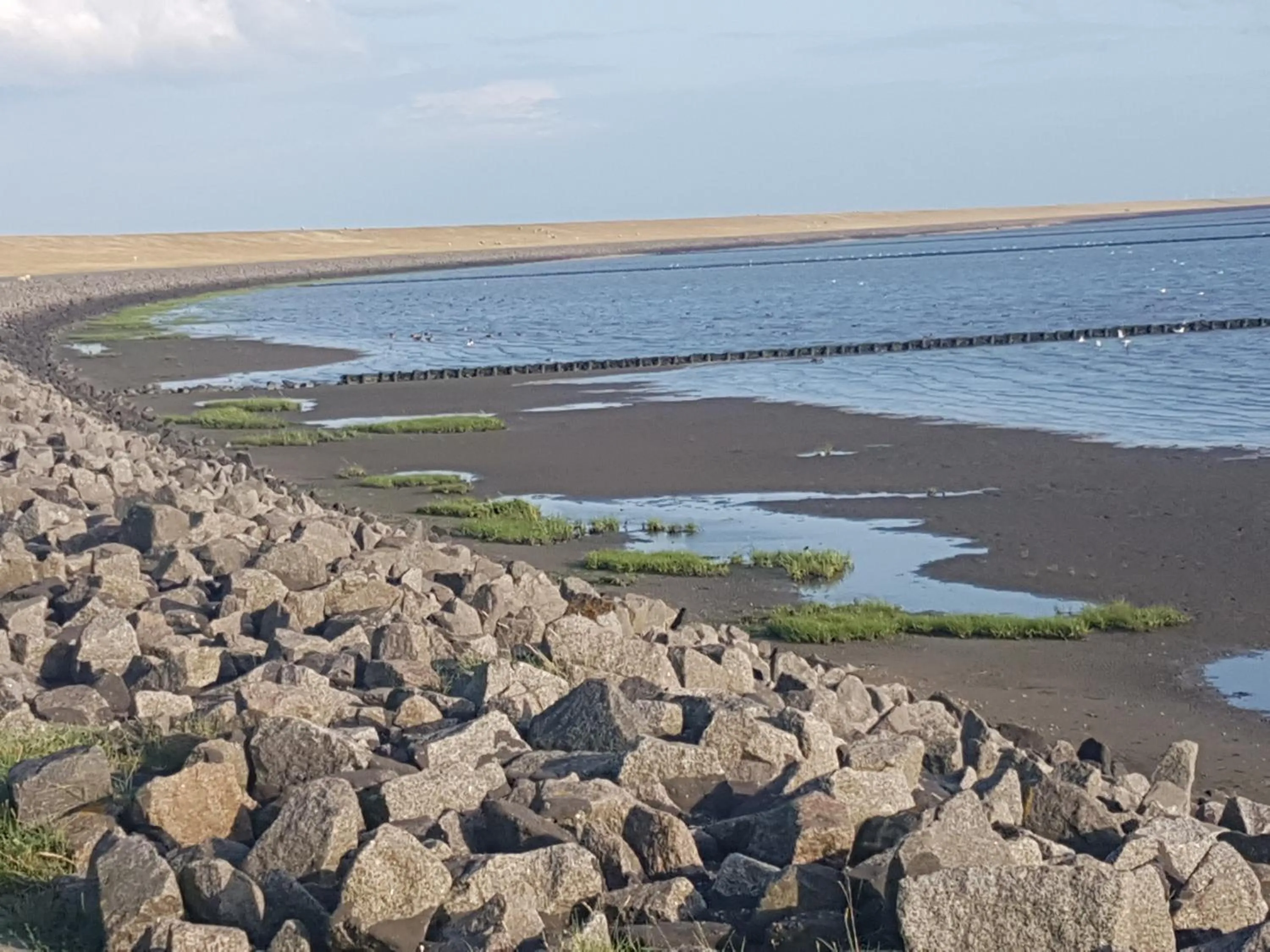 Natural landscape in Der Mühlenhof