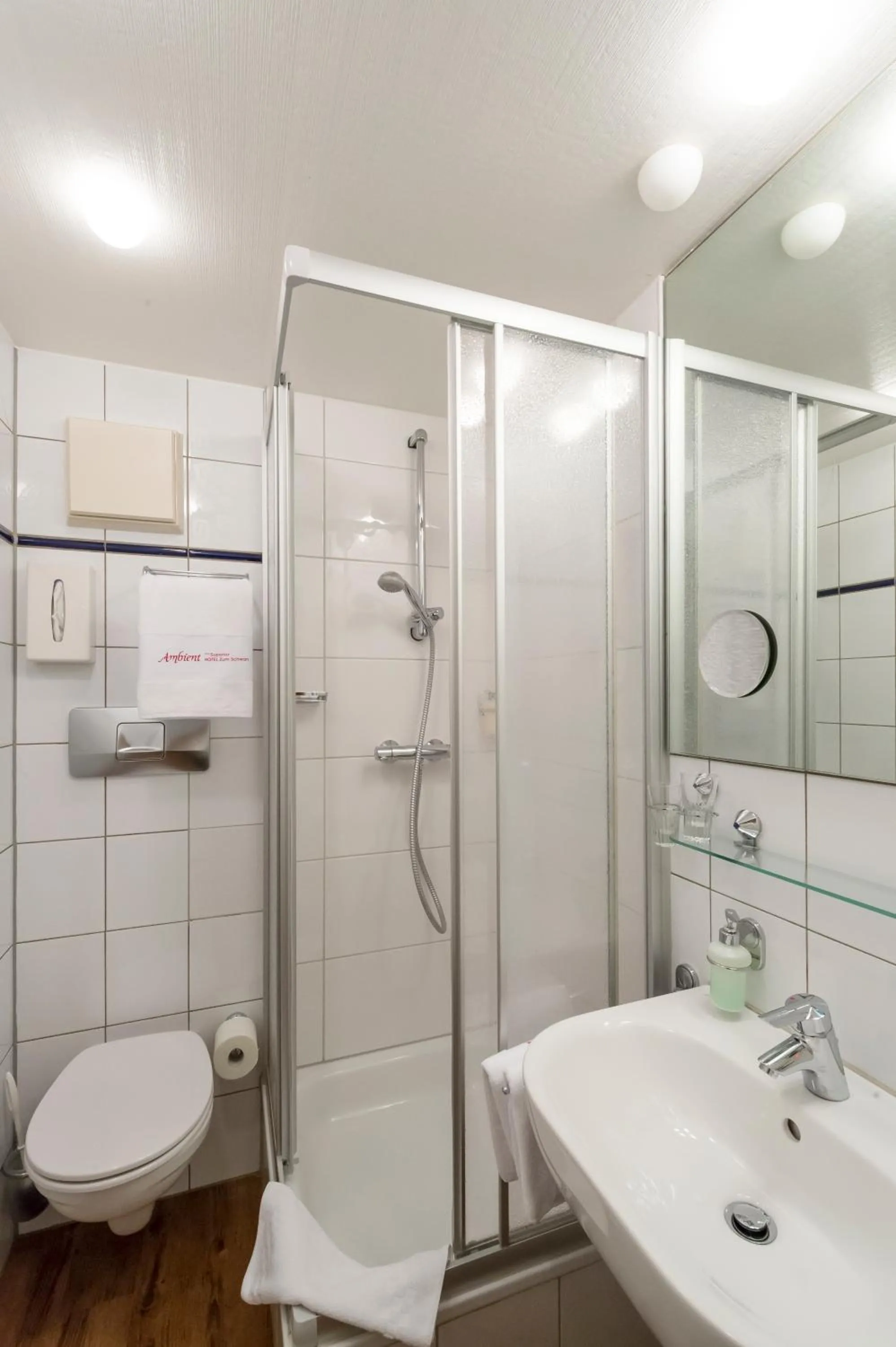 Ambient Hotel Zum Schwan