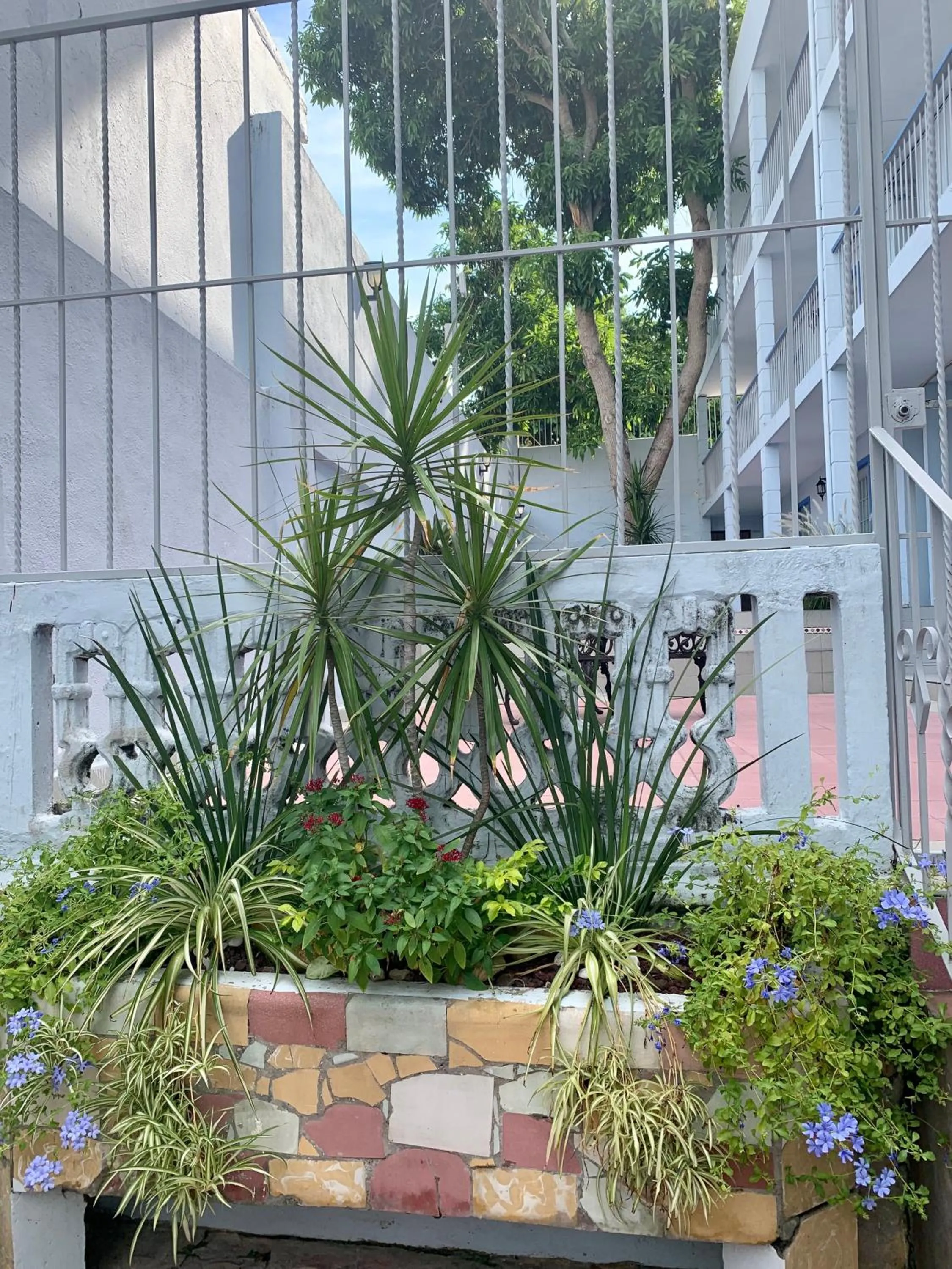 Garden in Casa Almar