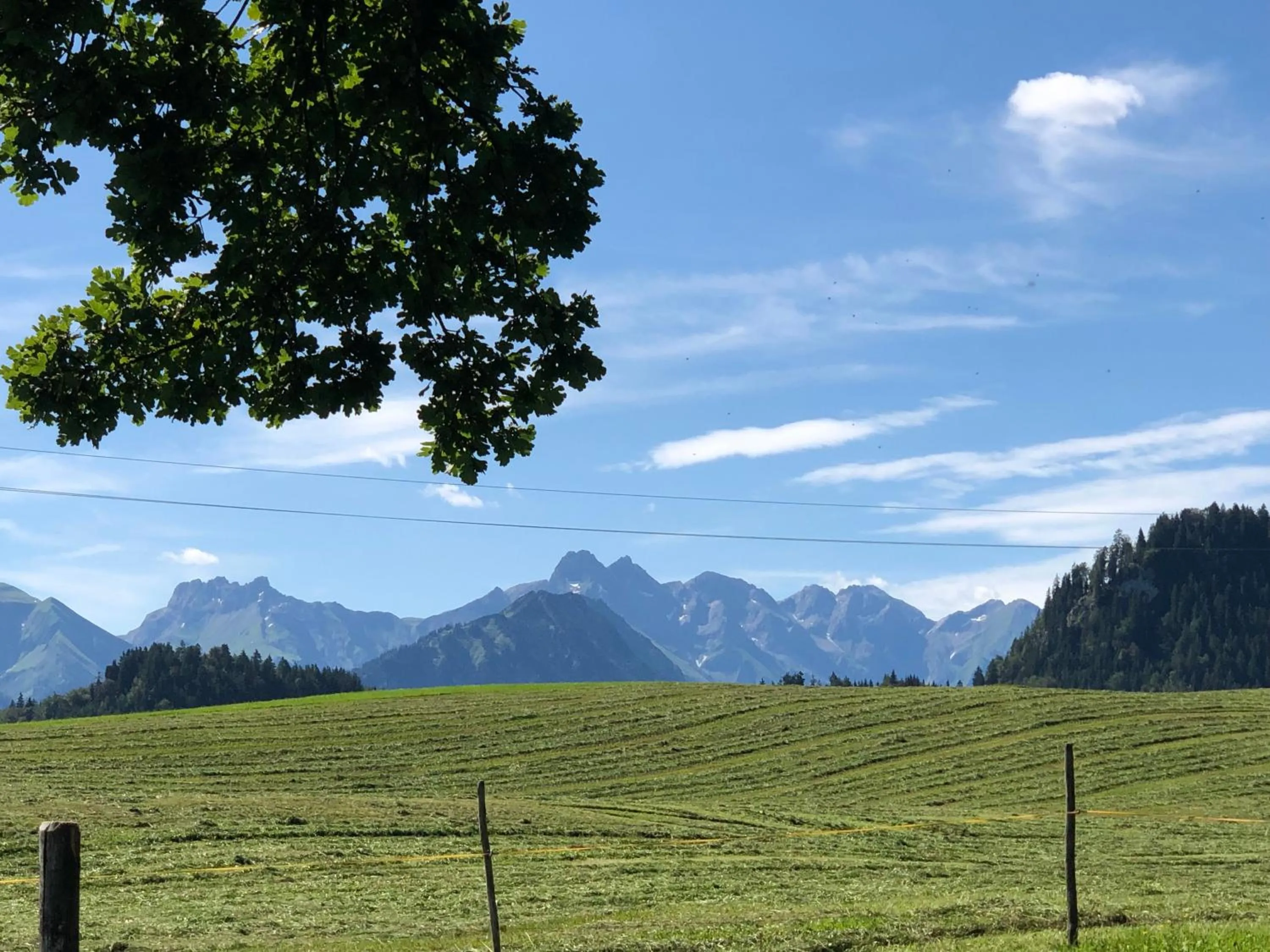 Summer in Hotel garni Oberdorfer Stuben