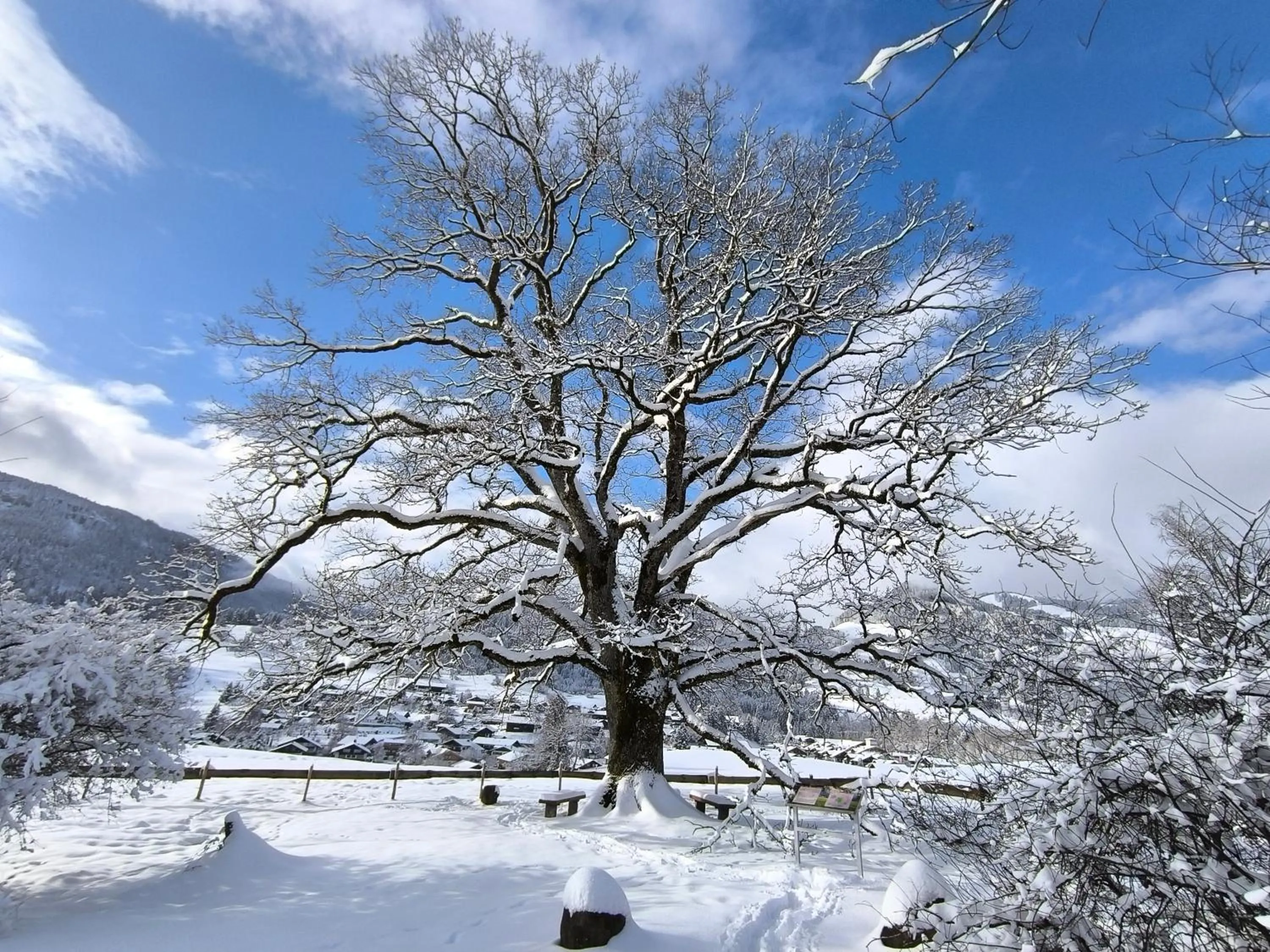 Natural landscape in Hotel garni Oberdorfer Stuben