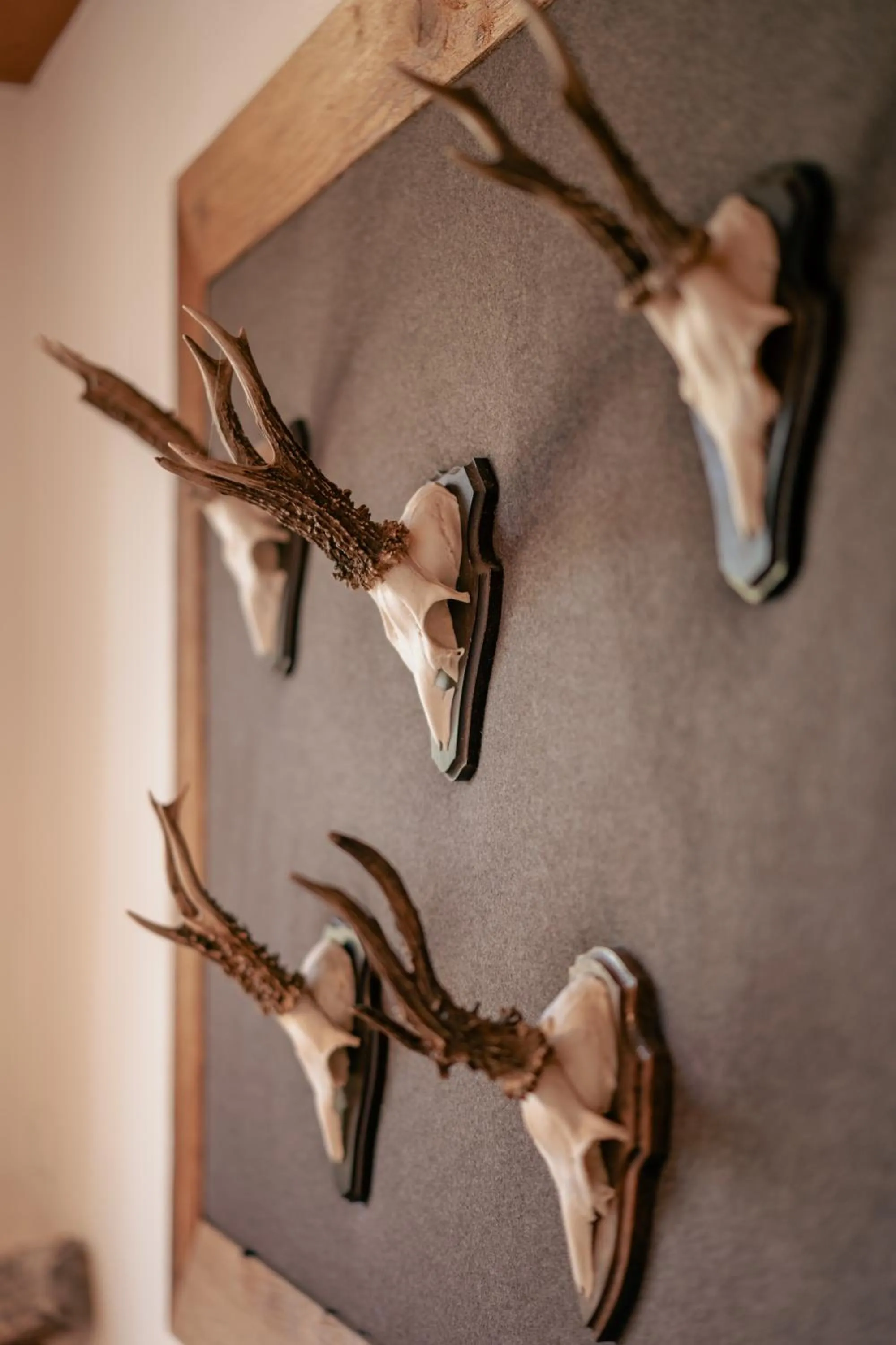 Restaurant/places to eat in Hotel garni Oberdorfer Stuben