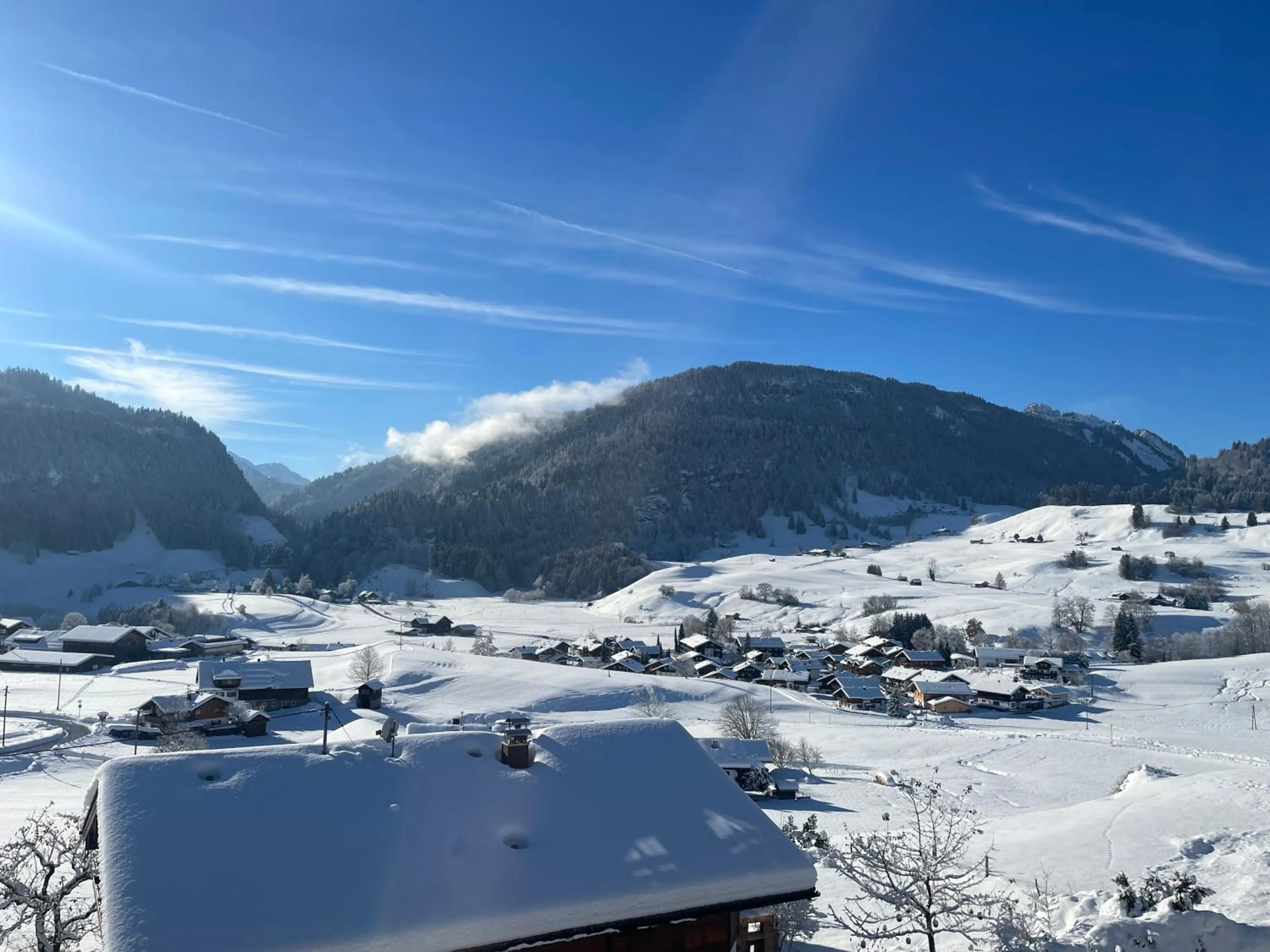 View (from property/room) in Hotel garni Oberdorfer Stuben