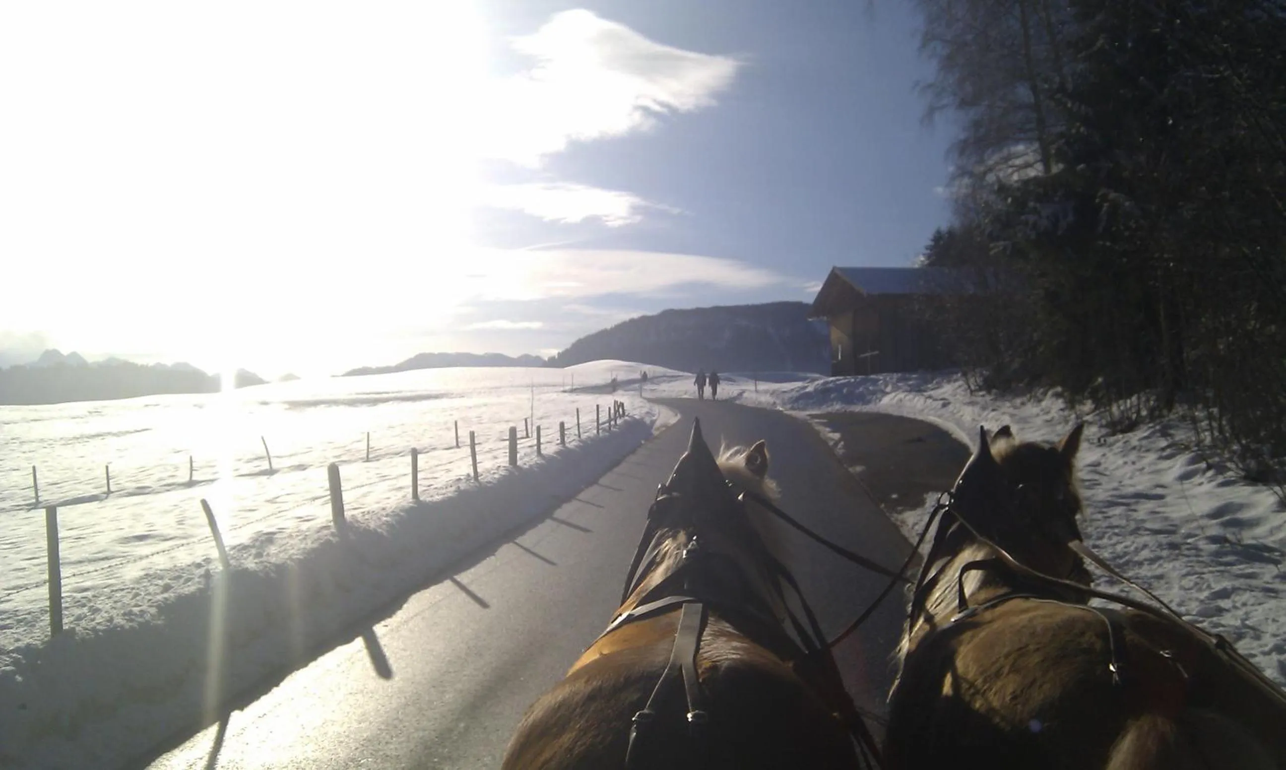 Mountain view in Hotel garni Oberdorfer Stuben