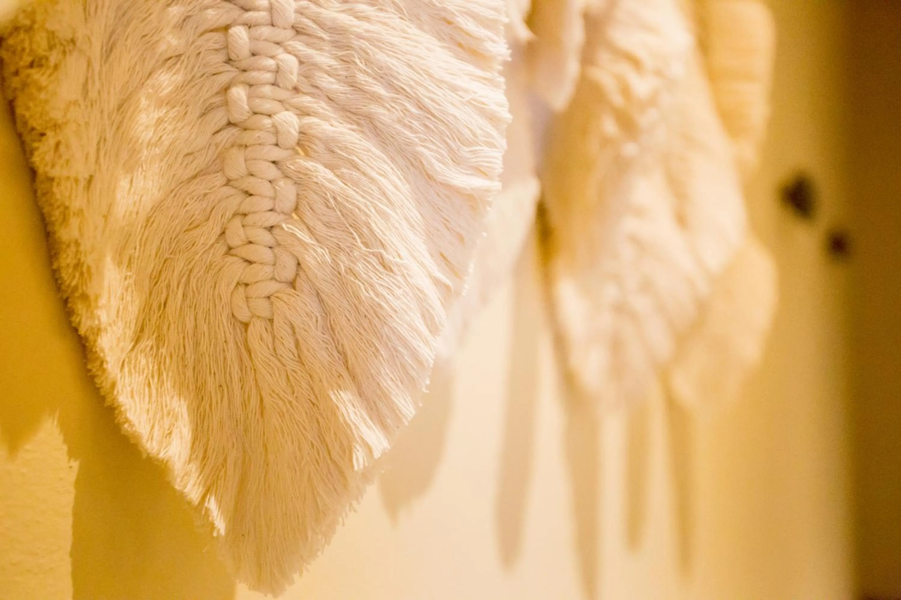 Decorative detail in Hotel Casa Bocana