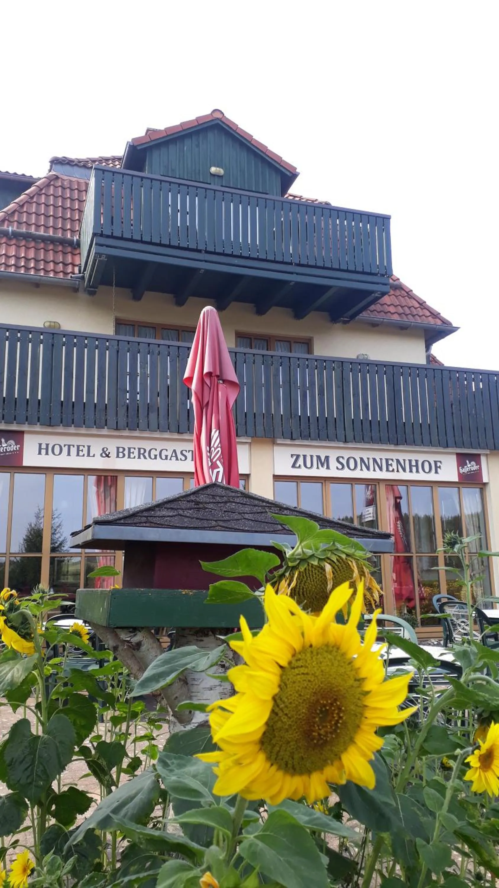 Property building in Hotel und Berggasthof Zum Sonnenhof