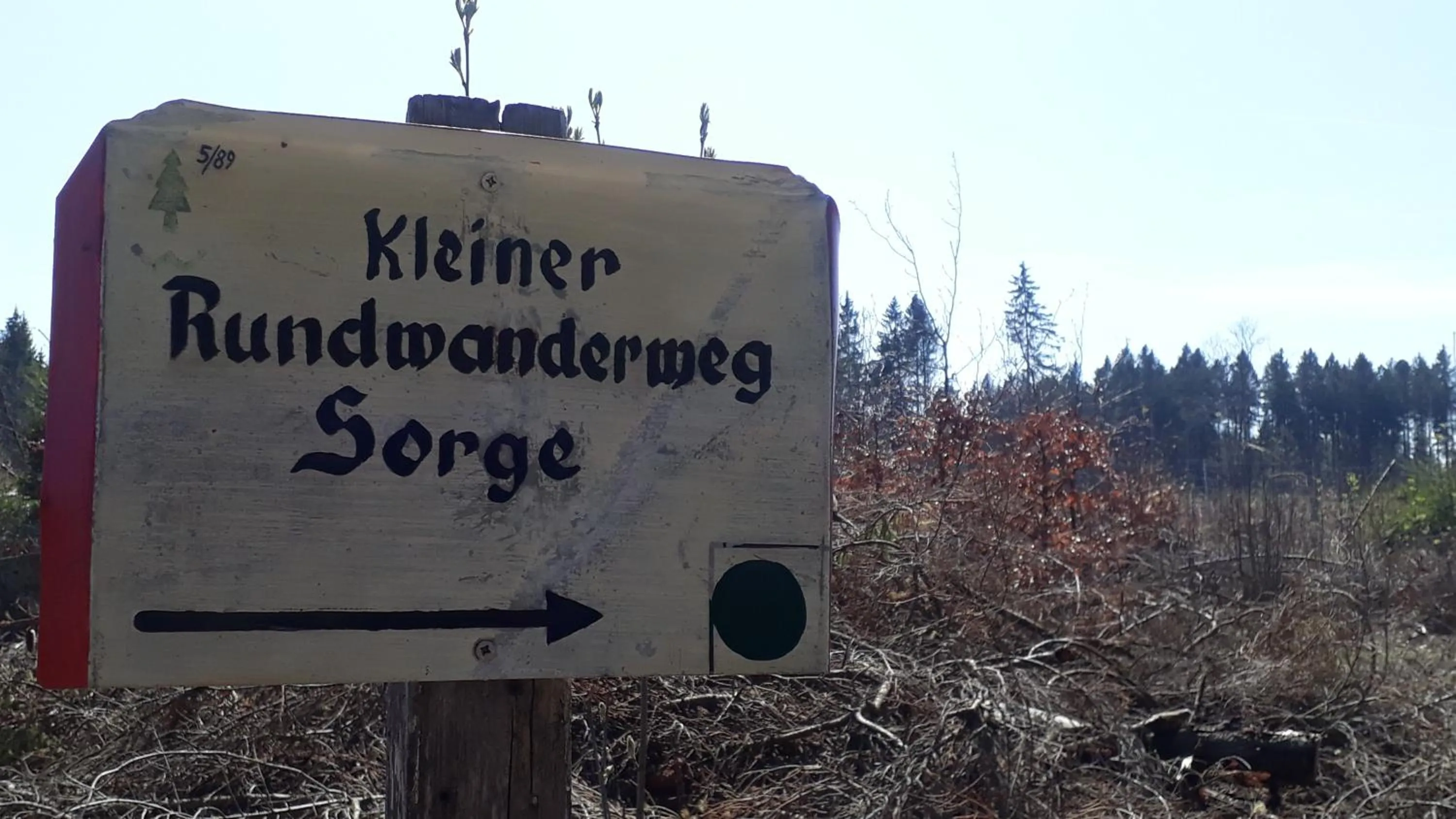 Hiking in Hotel und Berggasthof Zum Sonnenhof