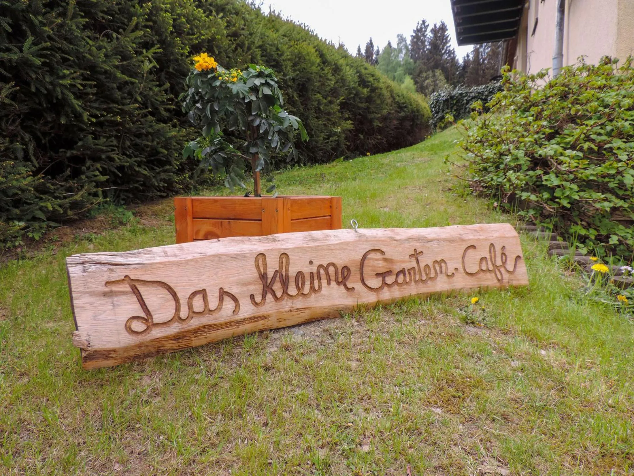 Property logo or sign in Hotel und Berggasthof Zum Sonnenhof