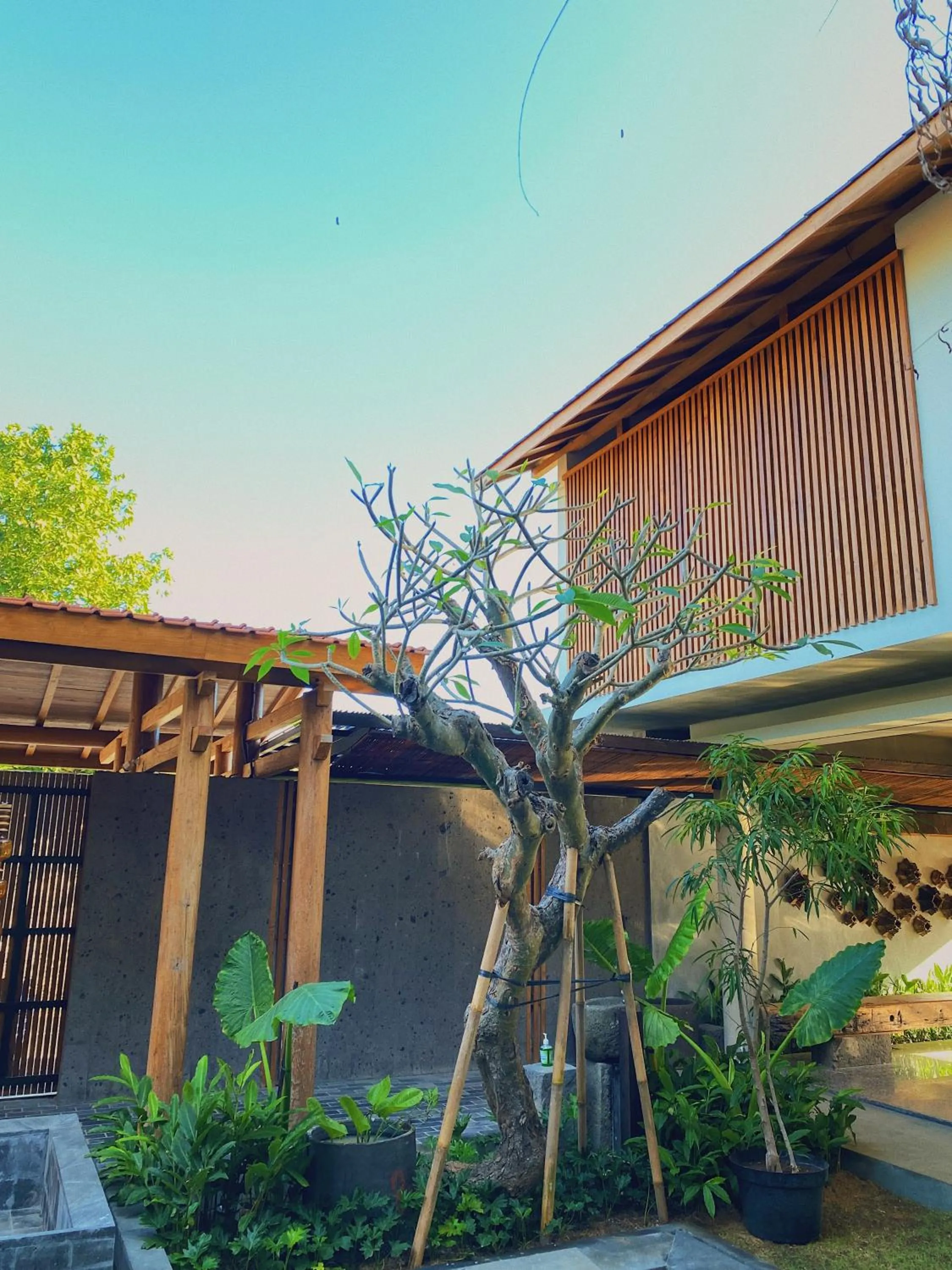 Property building in Tekuni 2