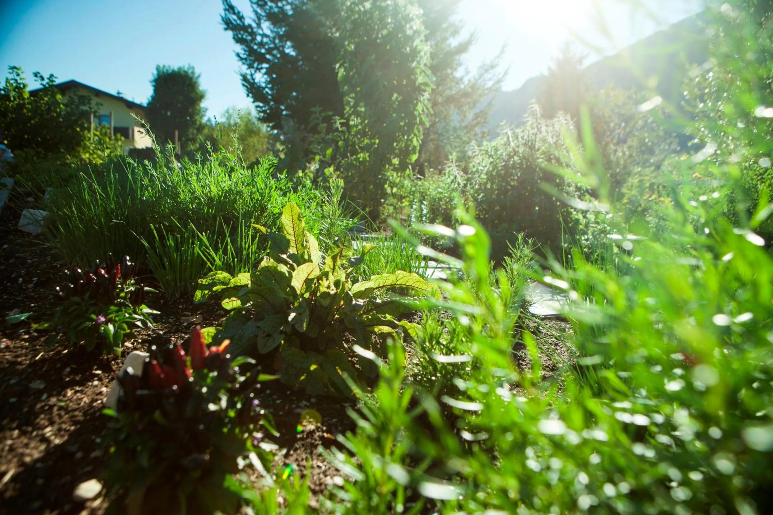 Garden in Hotel Mariasteinerhof