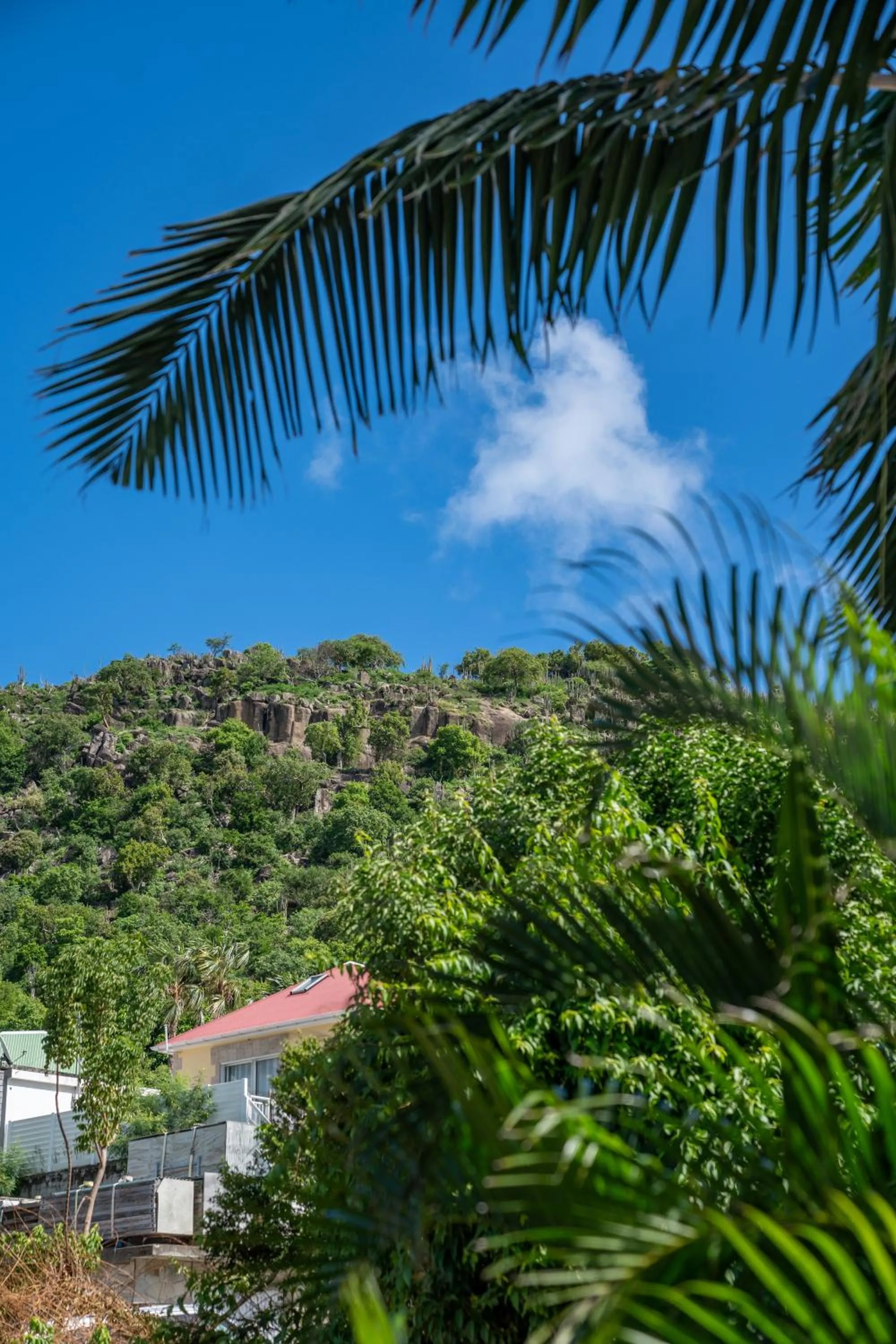 Natural landscape in Rêve de Saint Barth - Vue Mer - Piscine Chauffée & Jacuzzi