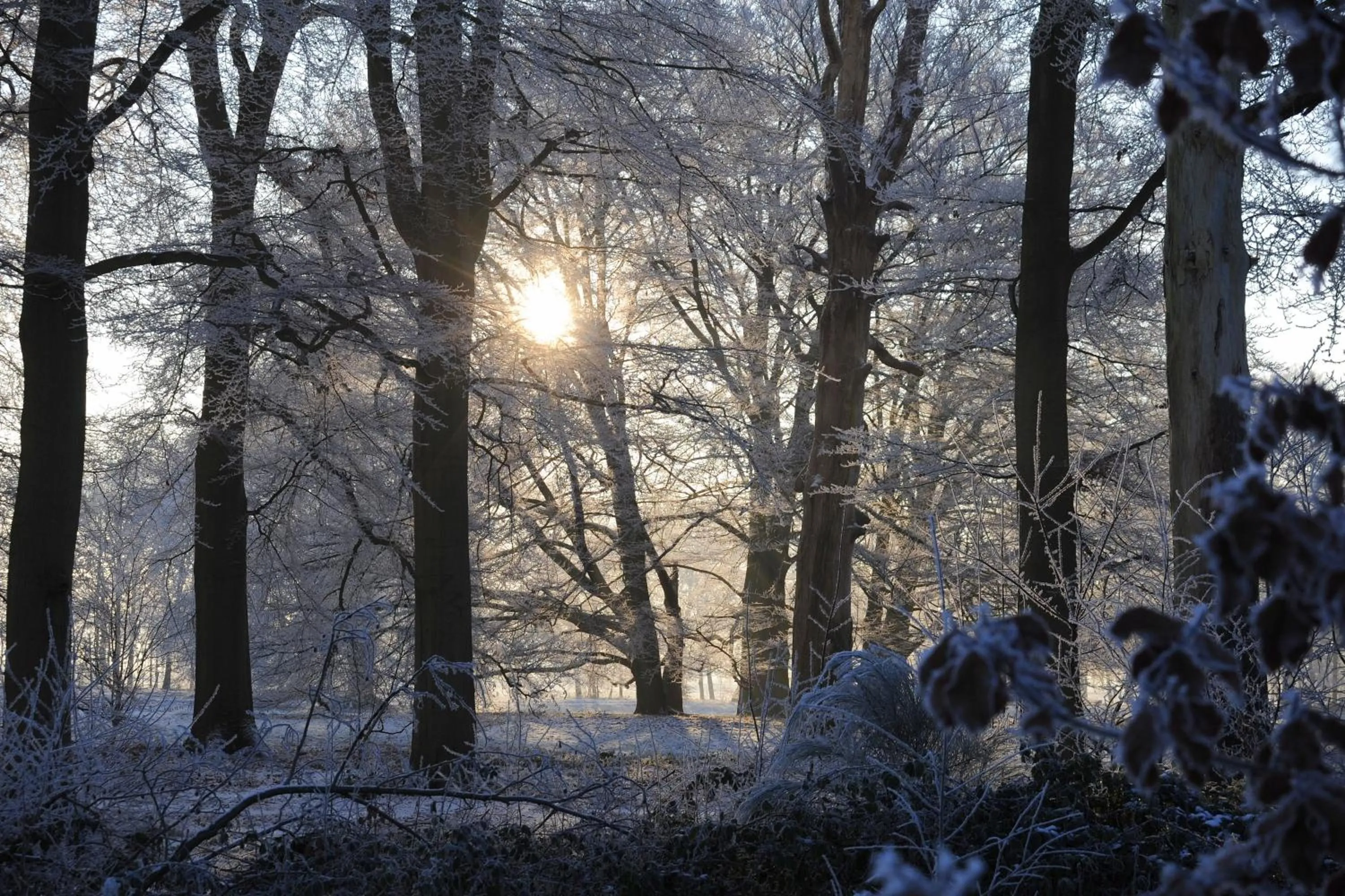 Winter in B & B Wellness voor 2