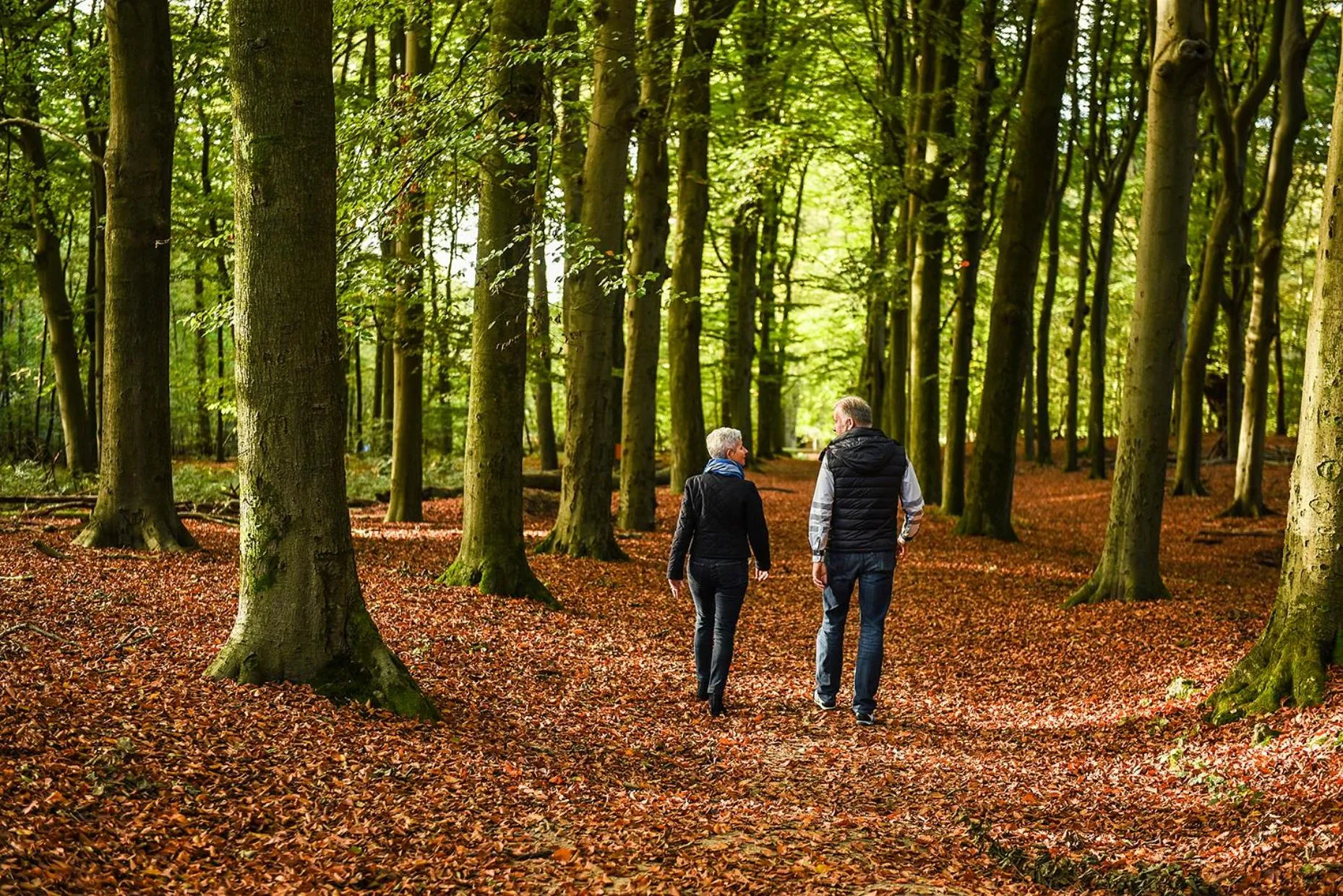 Natural landscape in B & B Wellness voor 2