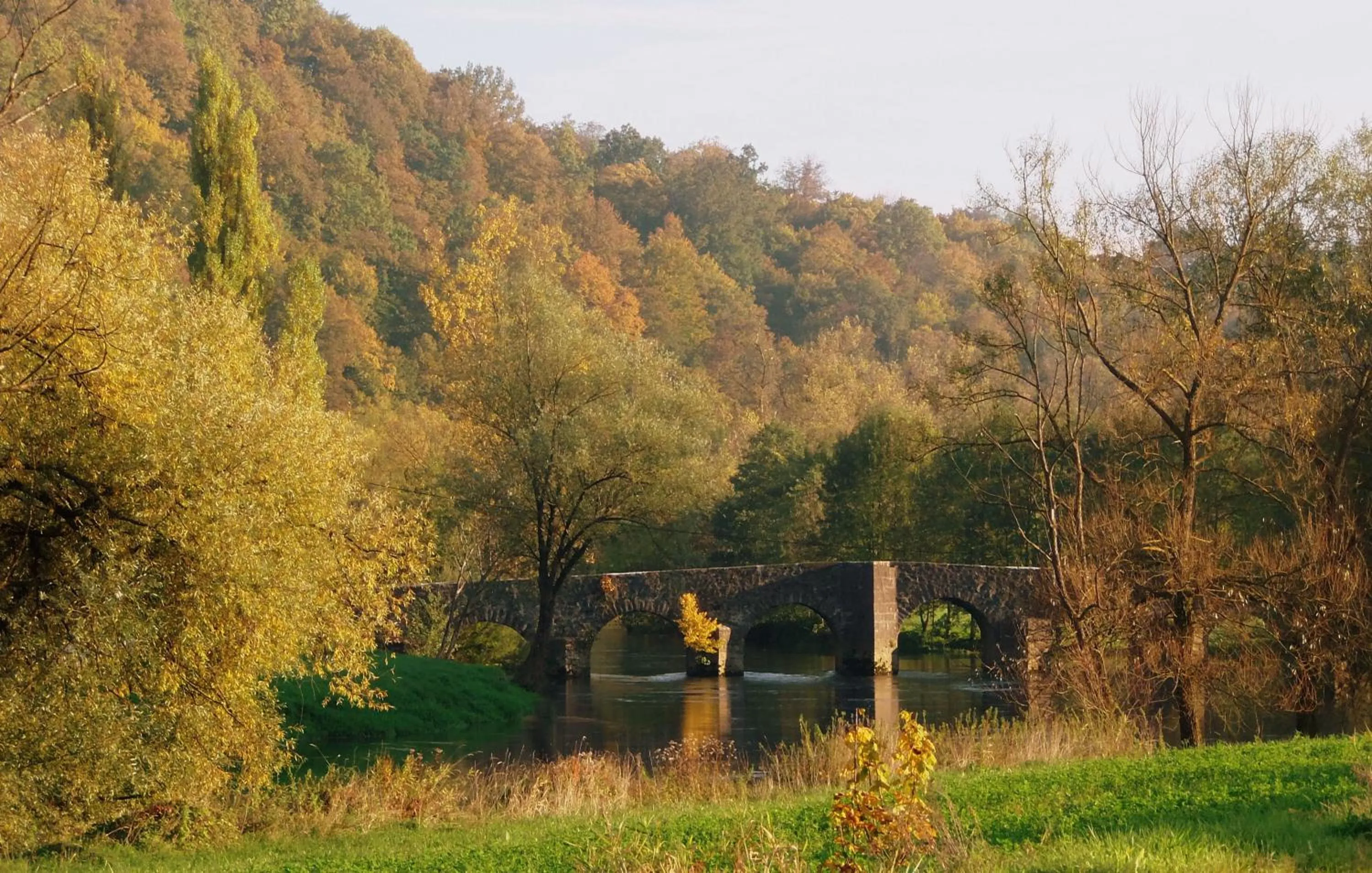 Natural landscape in Hotel Amarilis