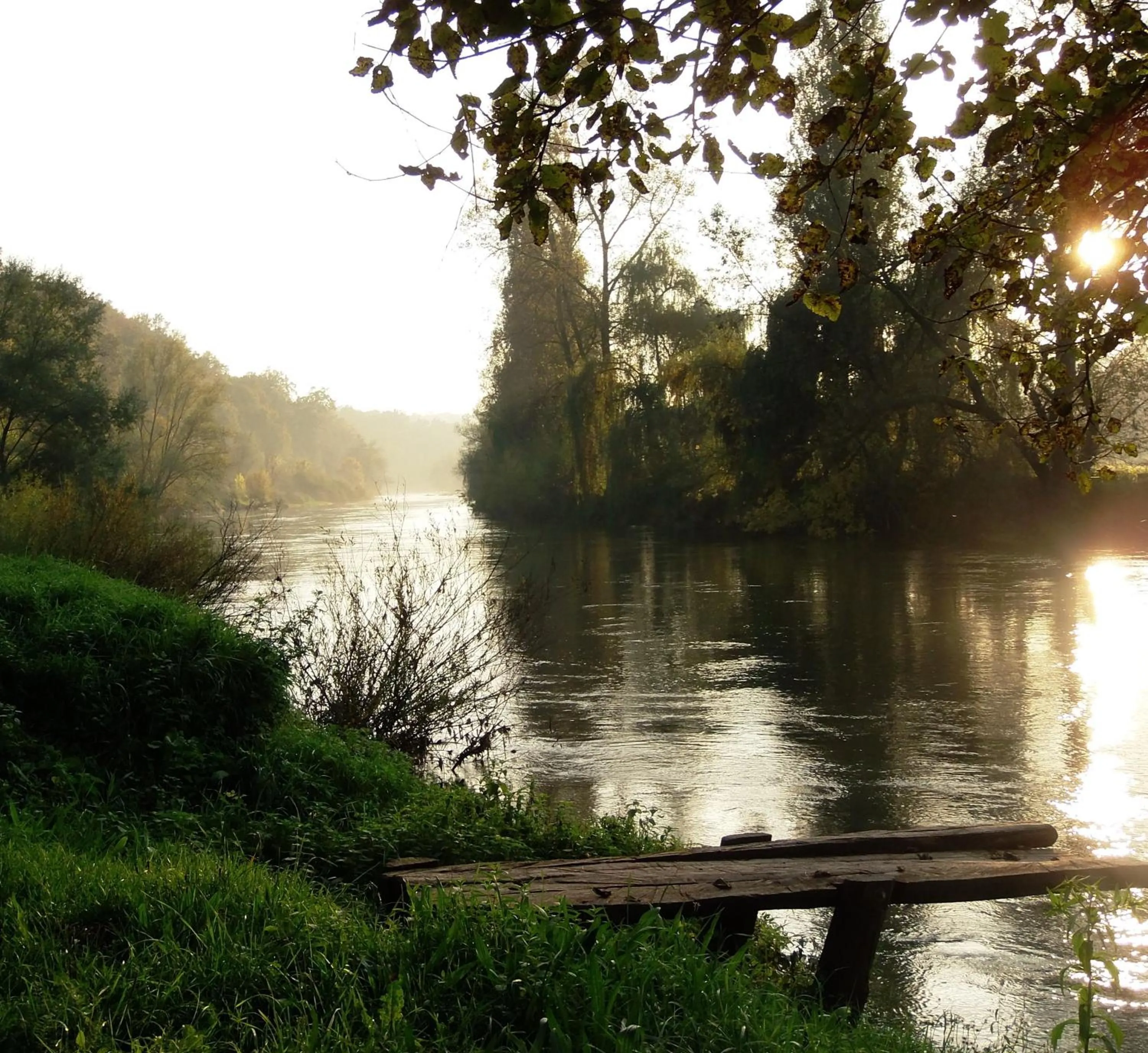 Area and facilities in Hotel Amarilis