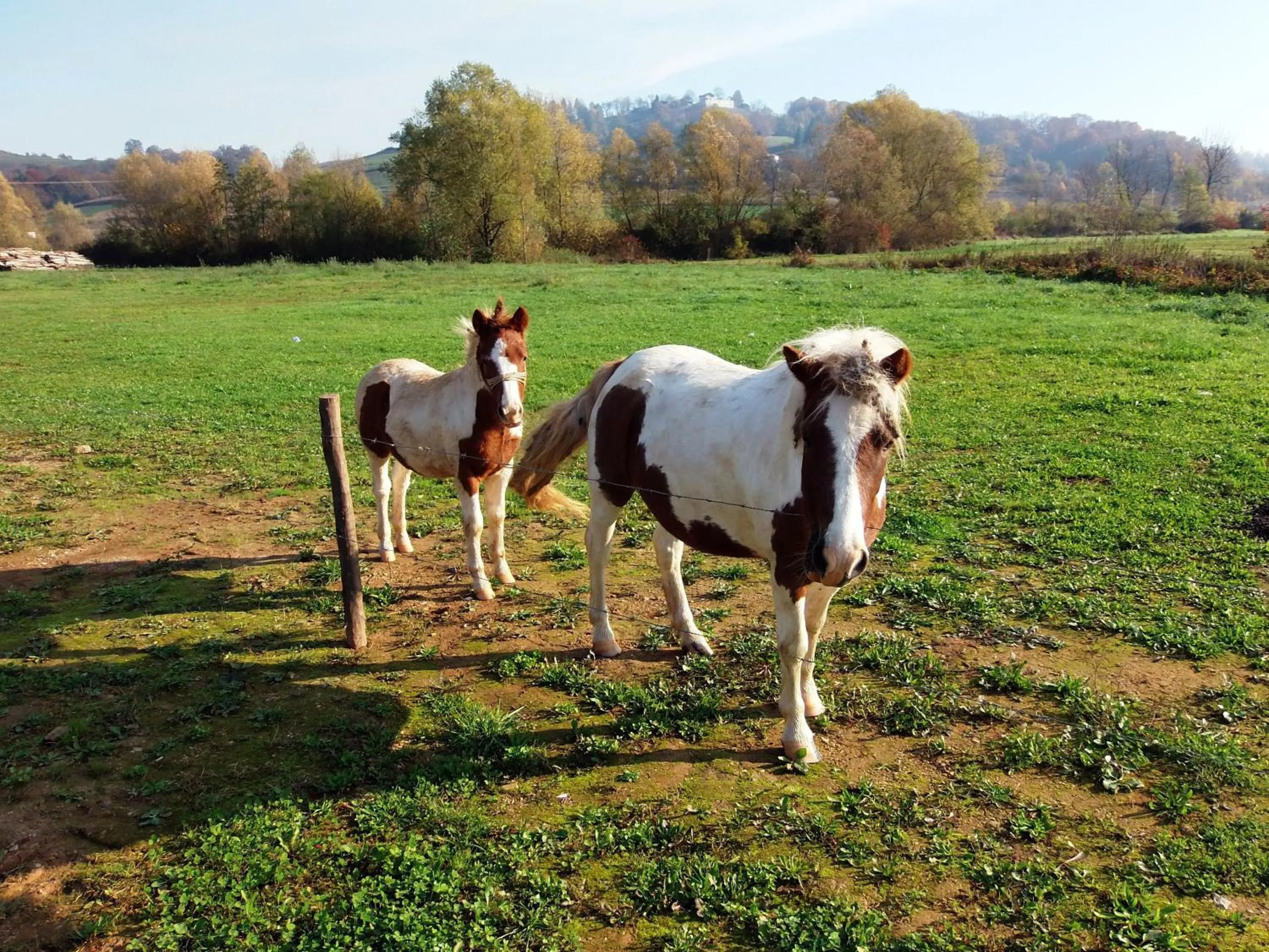 Other in Hotel Amarilis